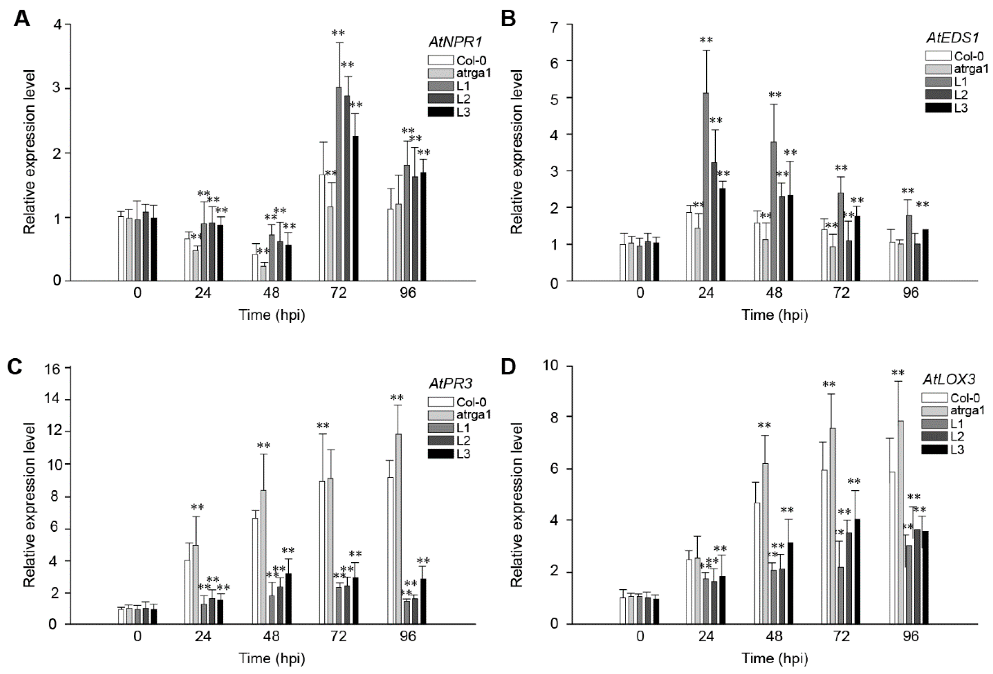 Ijms 21 00193 g008 Ijms 21 00193 g008