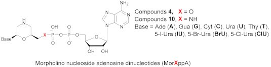 Ijms 21 00214 i001 Ijms 21 00214 i001