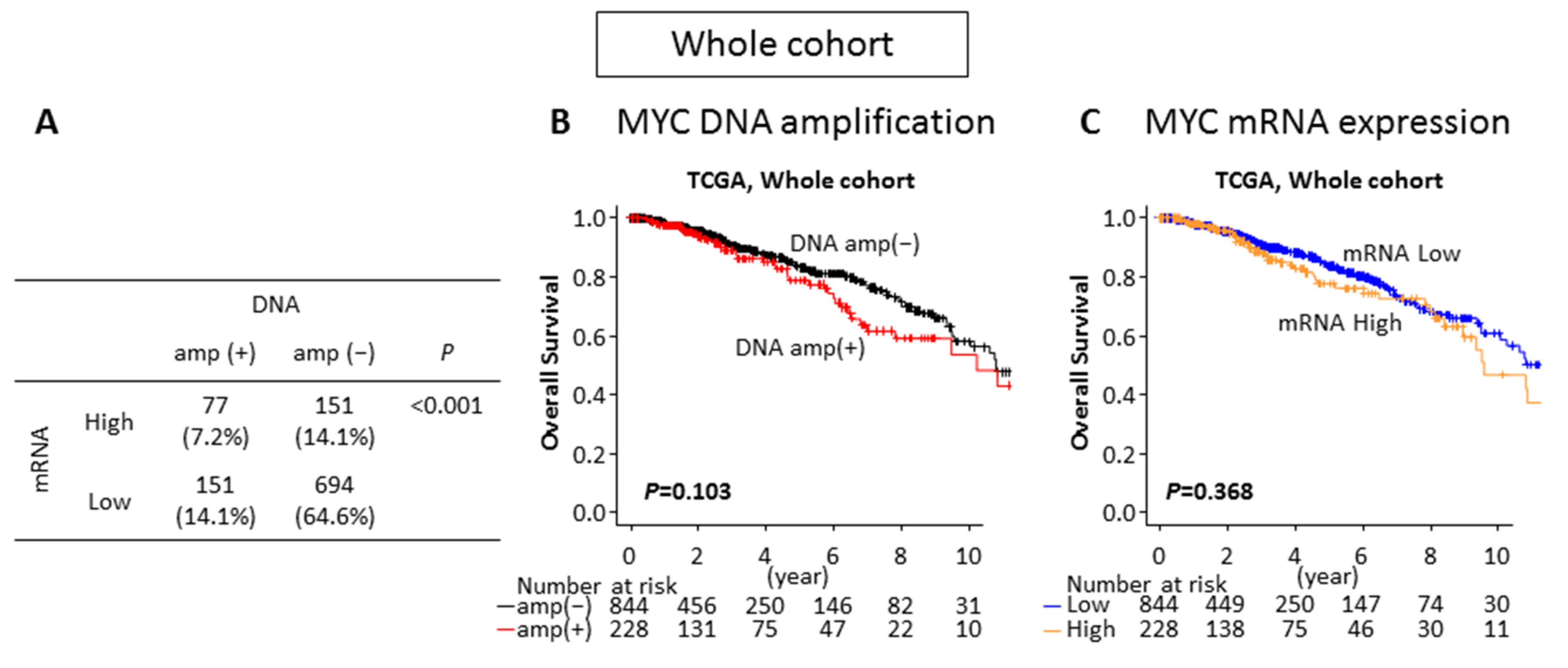 Ijms 21 00217 g002 Ijms 21 00217 g002