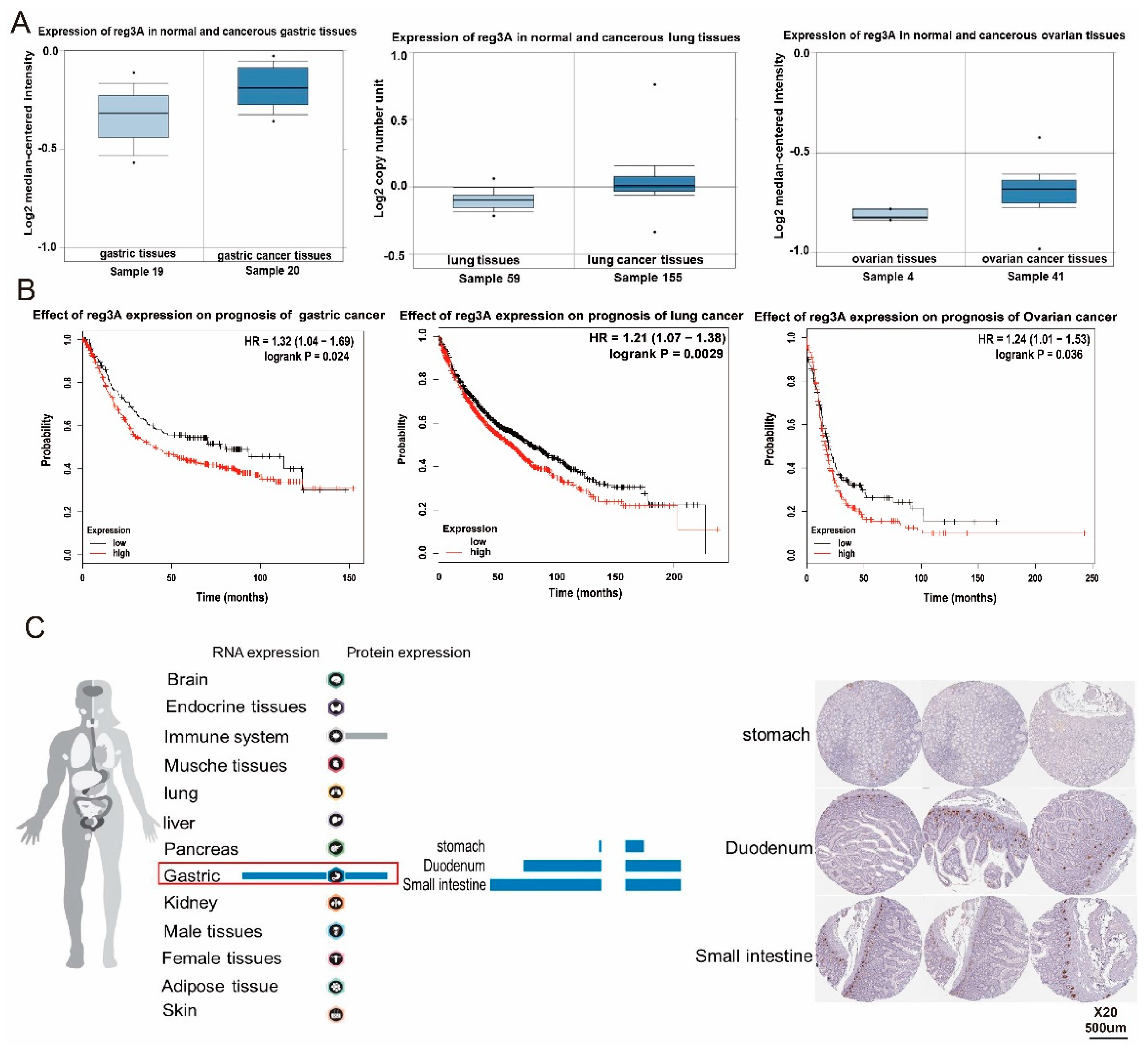 Ijms 21 00224 g001 Ijms 21 00224 g001