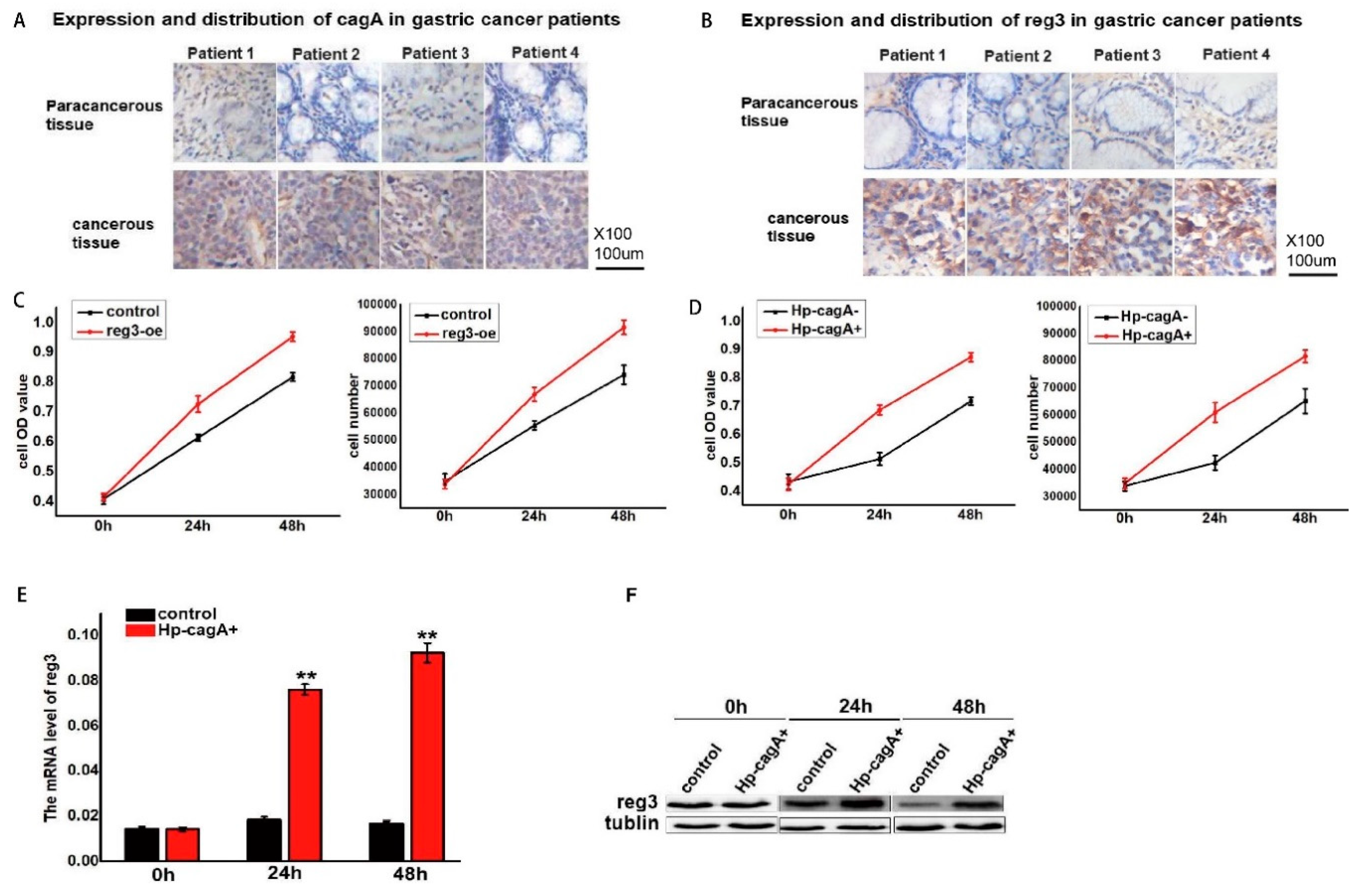 Ijms 21 00224 g002 Ijms 21 00224 g002