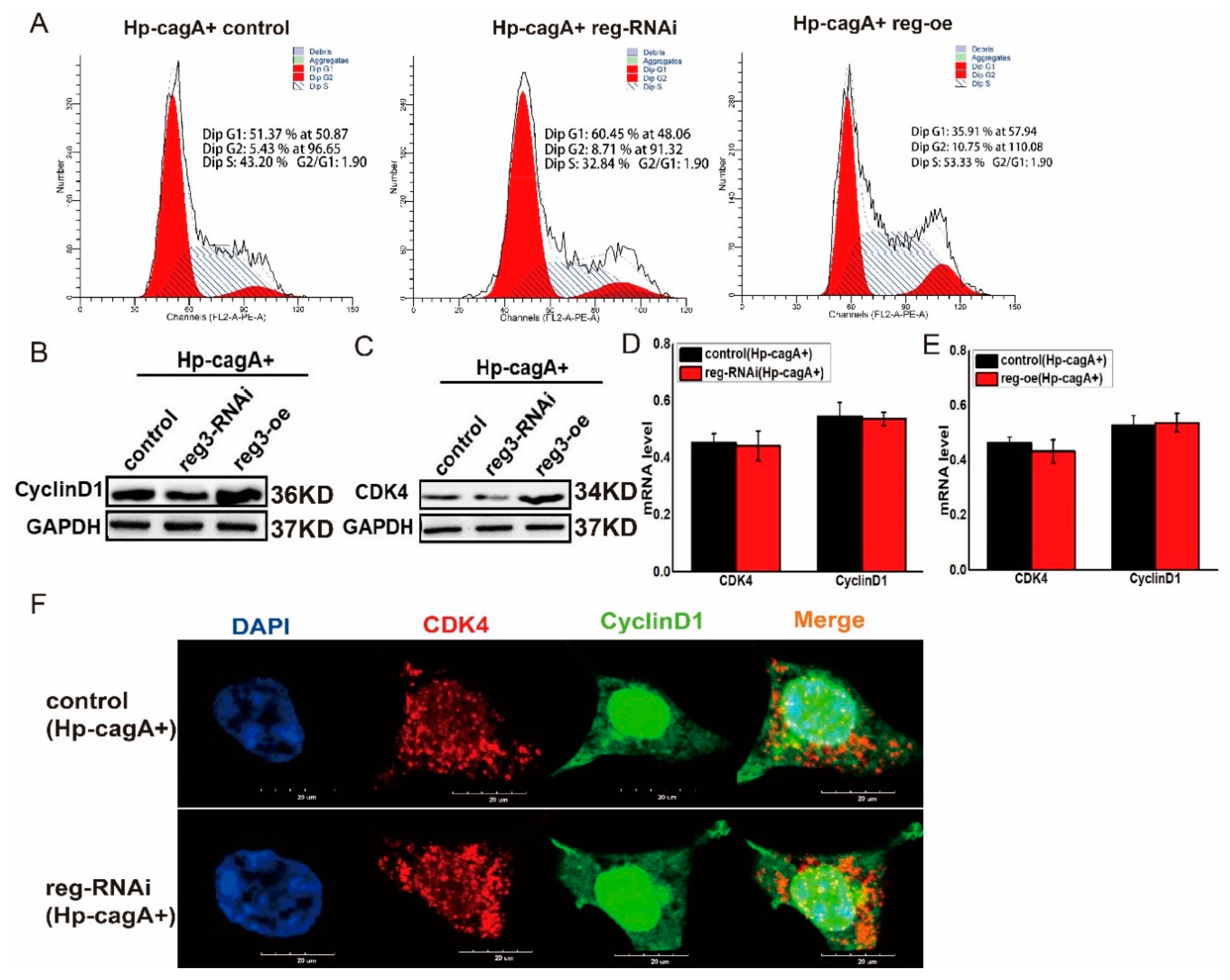 Ijms 21 00224 g006 Ijms 21 00224 g006