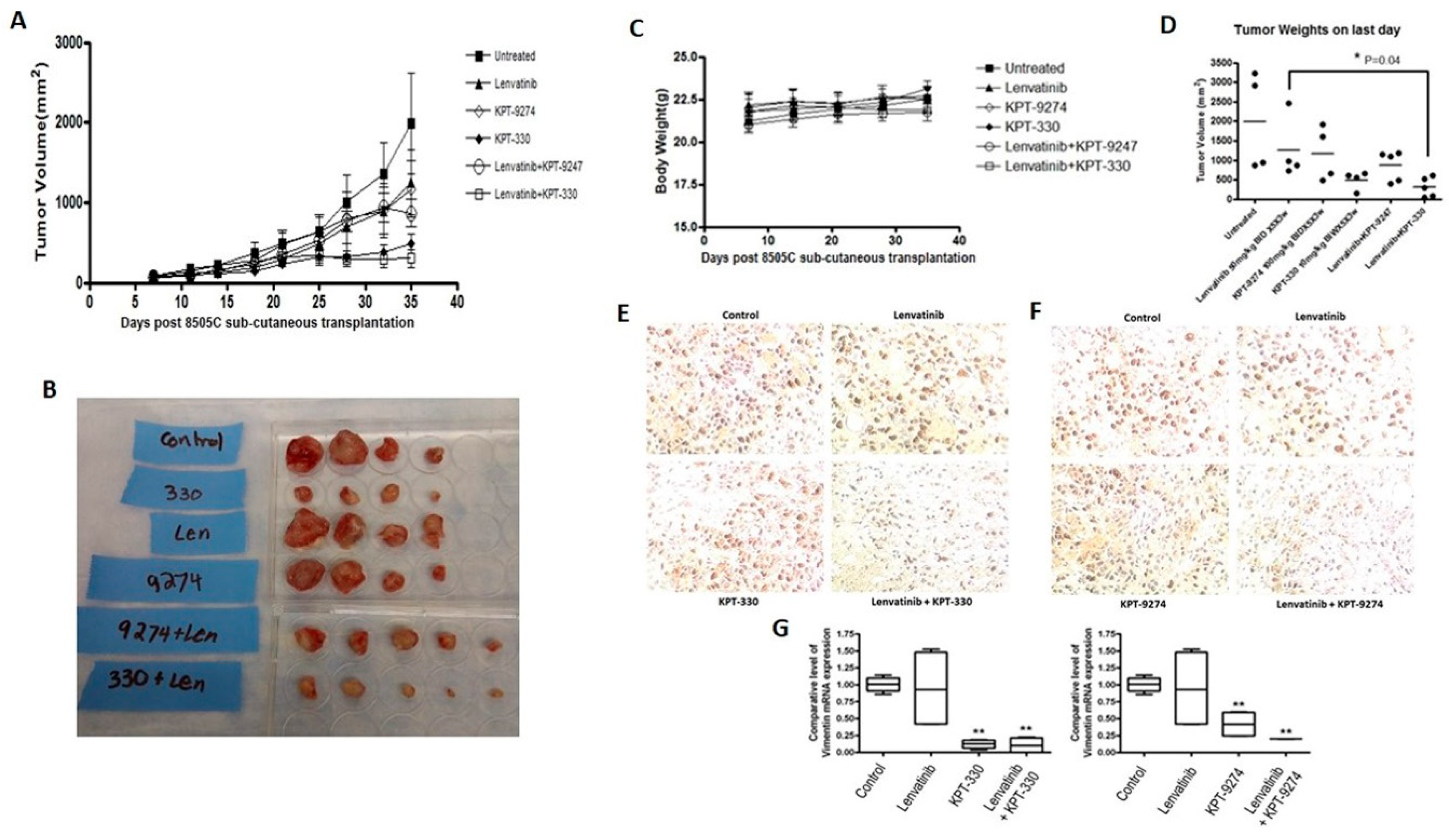 Ijms 21 00237 g006 Ijms 21 00237 g006