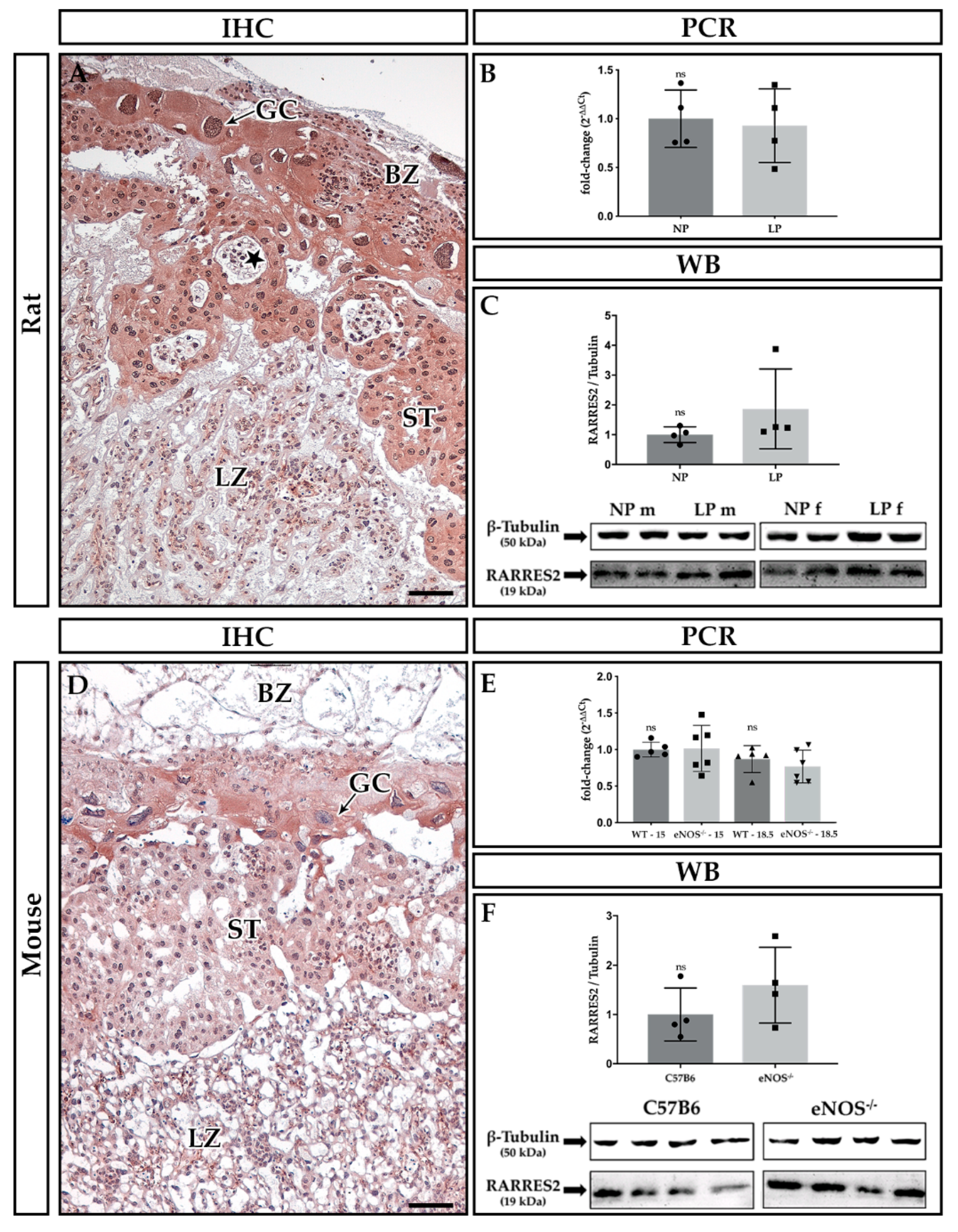 Ijms 21 00242 g002 Ijms 21 00242 g002