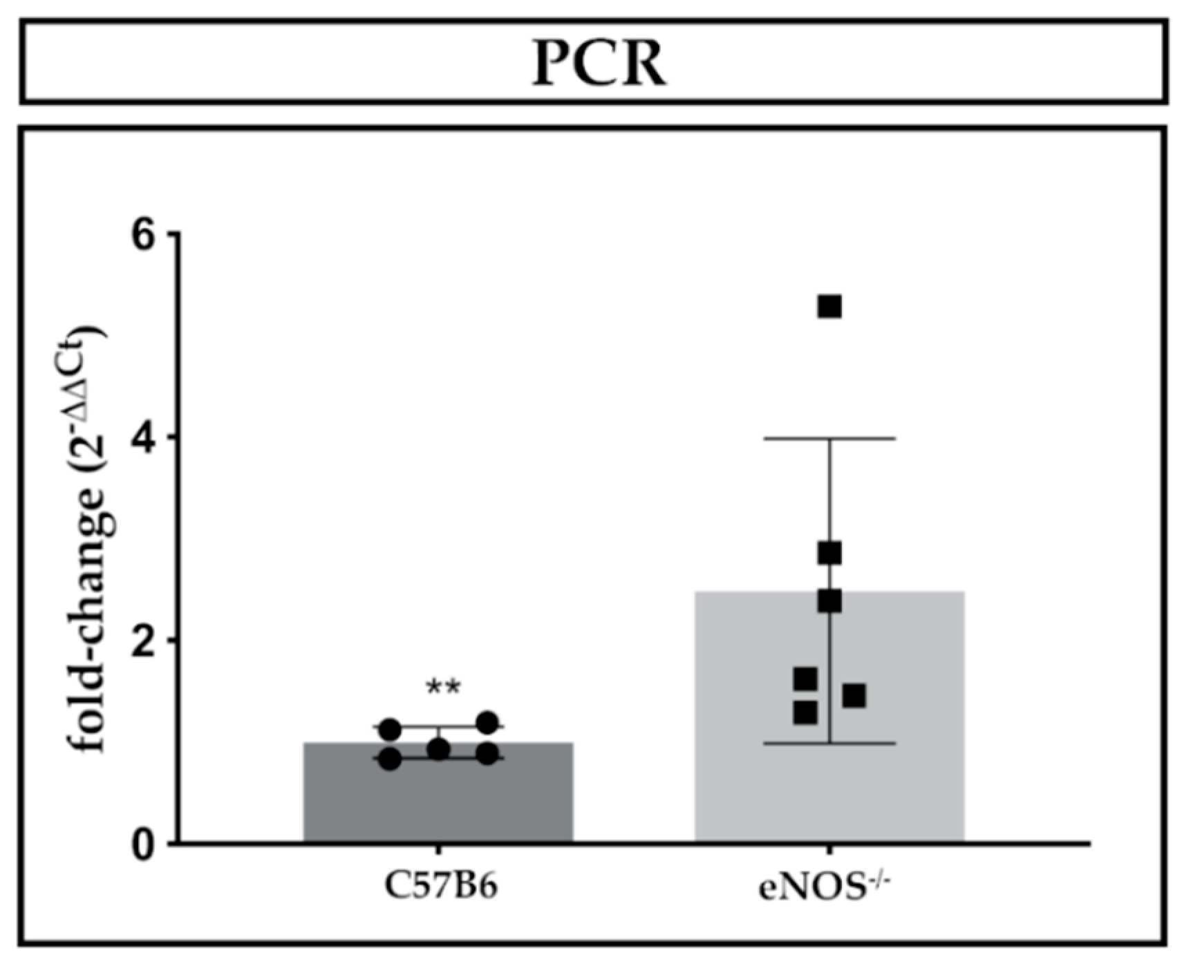 Ijms 21 00242 g003 Ijms 21 00242 g003