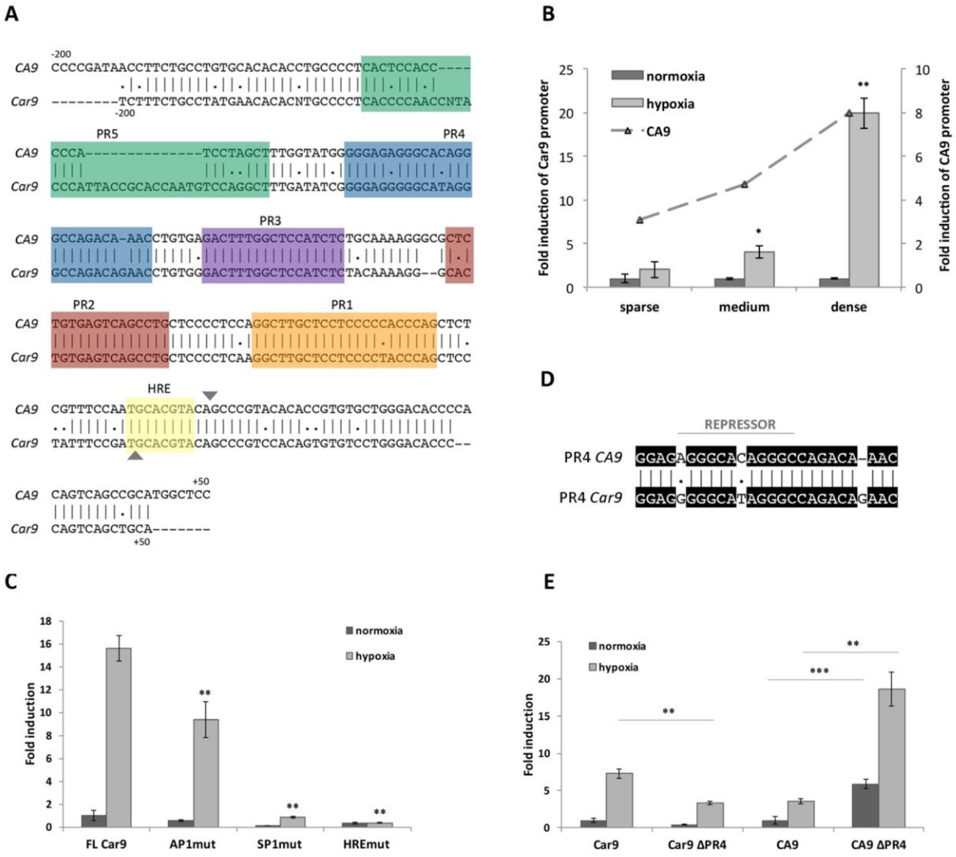 Ijms 21 00246 g001 Ijms 21 00246 g001