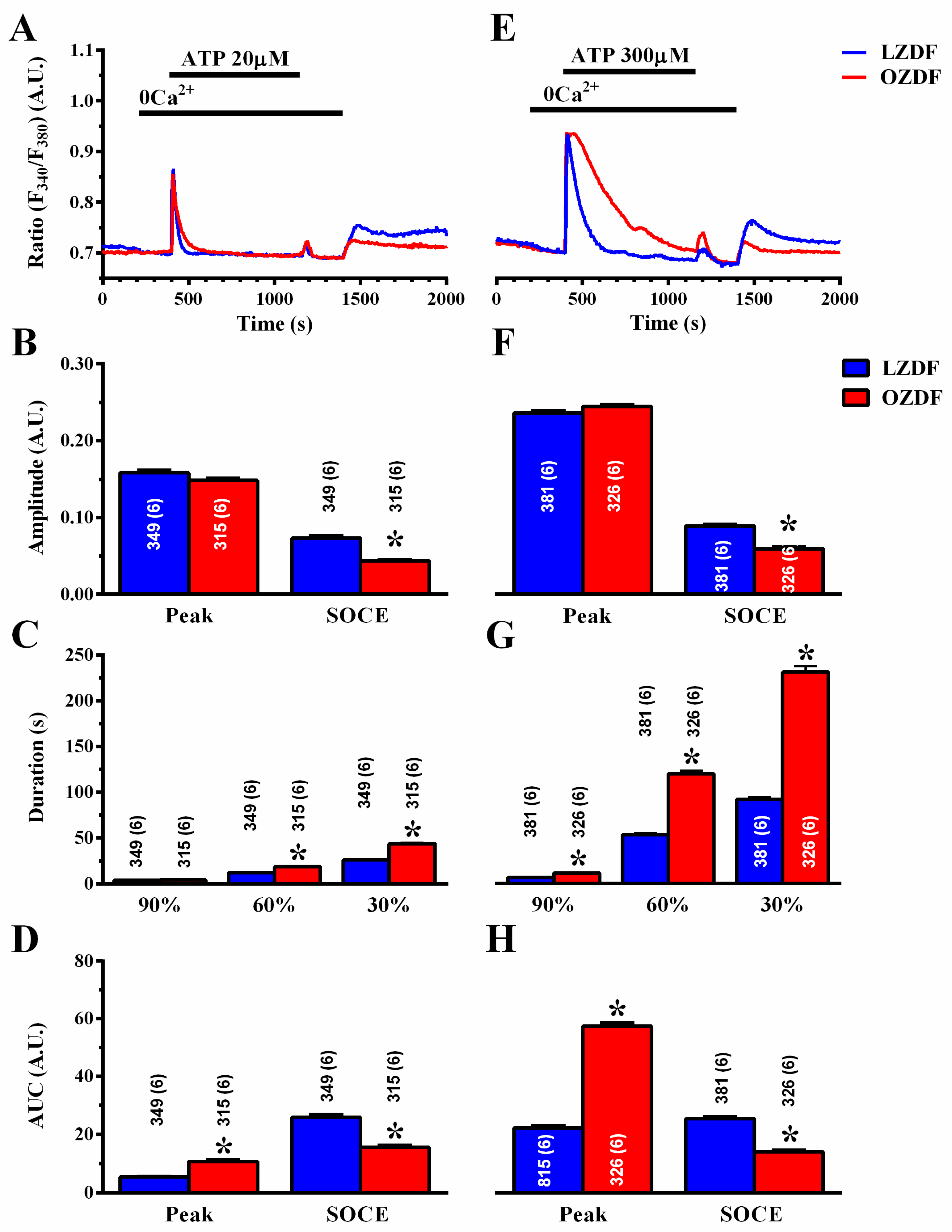 Ijms 21 00250 g004 Ijms 21 00250 g004