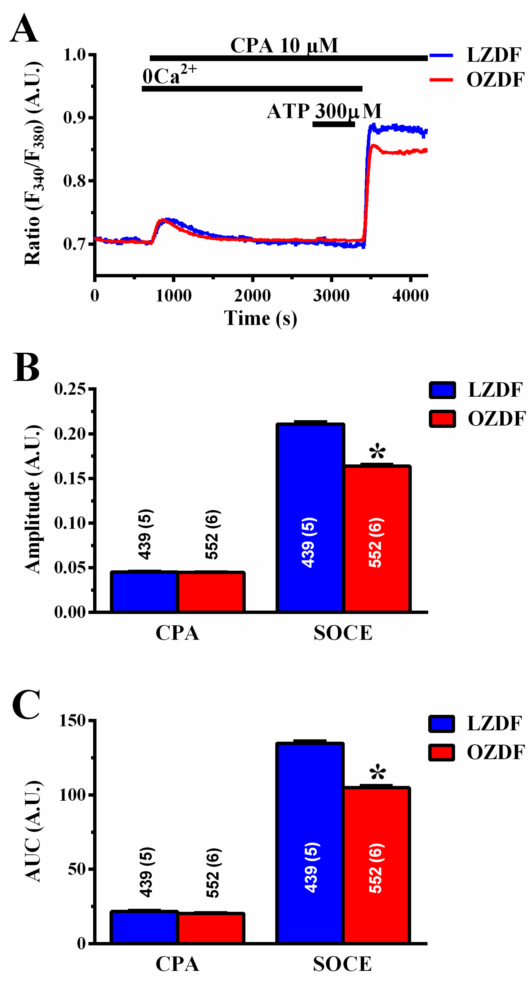 Ijms 21 00250 g005 Ijms 21 00250 g005
