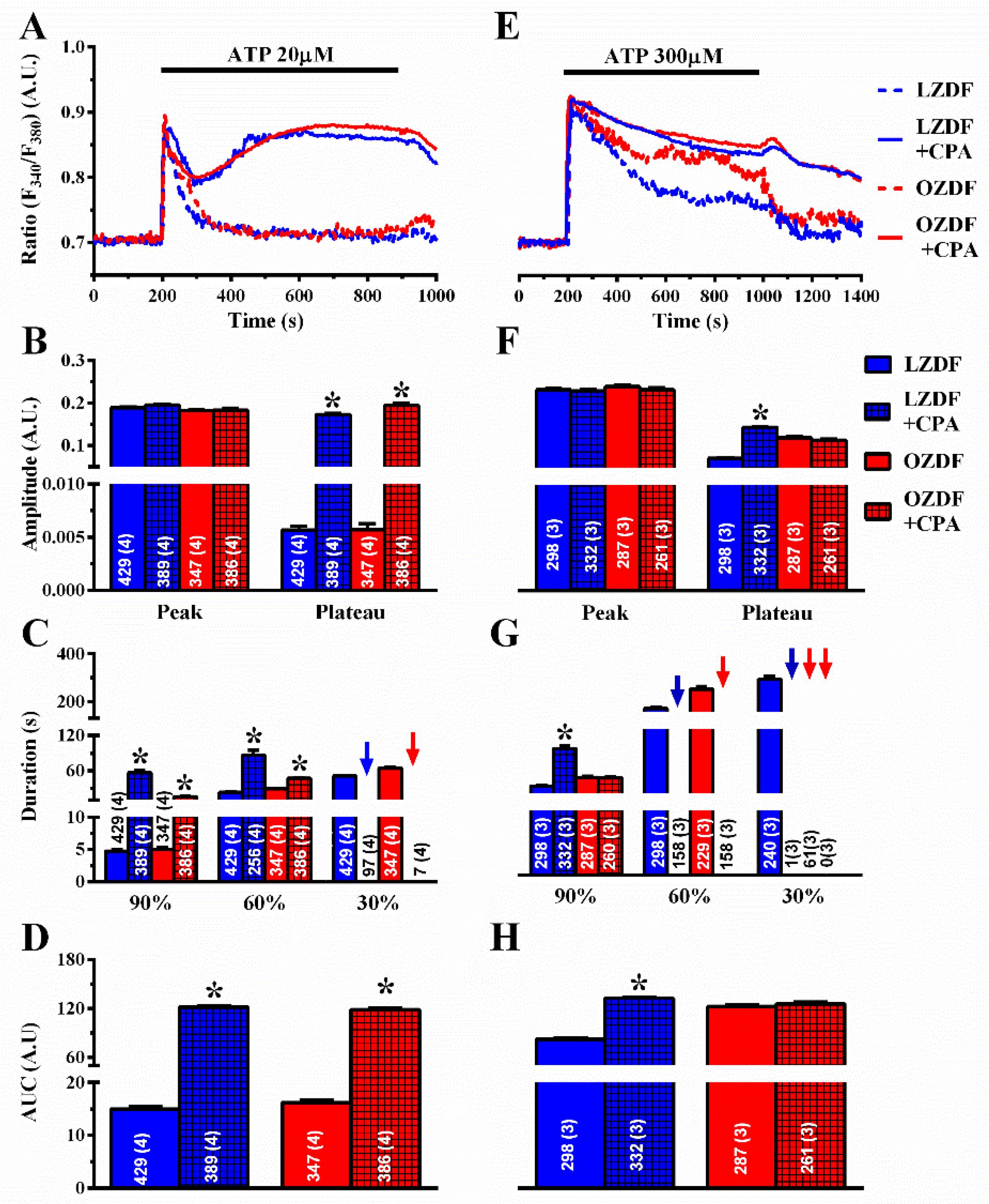 Ijms 21 00250 g006 Ijms 21 00250 g006