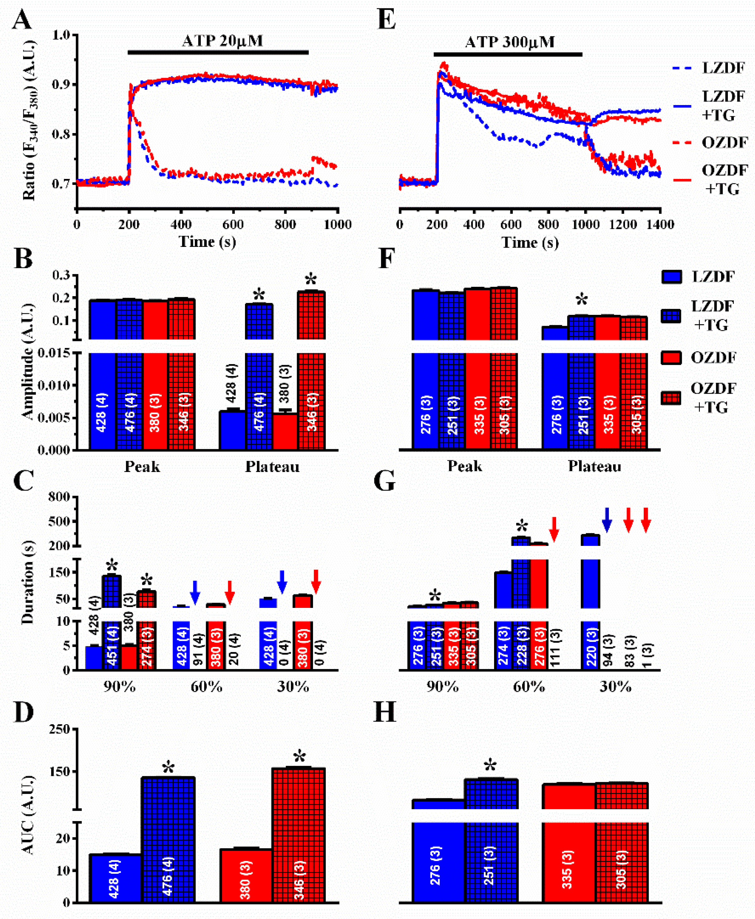 Ijms 21 00250 g007 Ijms 21 00250 g007