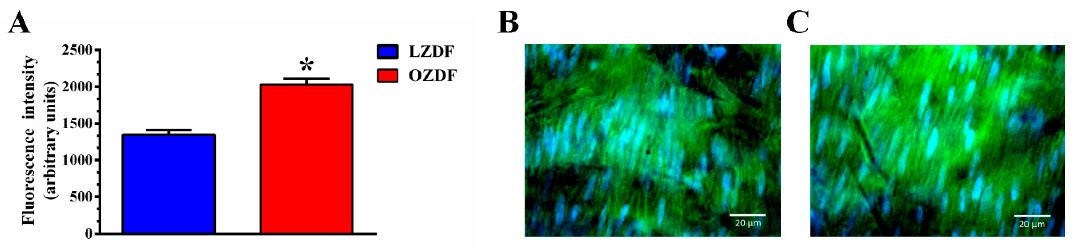 Ijms 21 00250 g011 Ijms 21 00250 g011