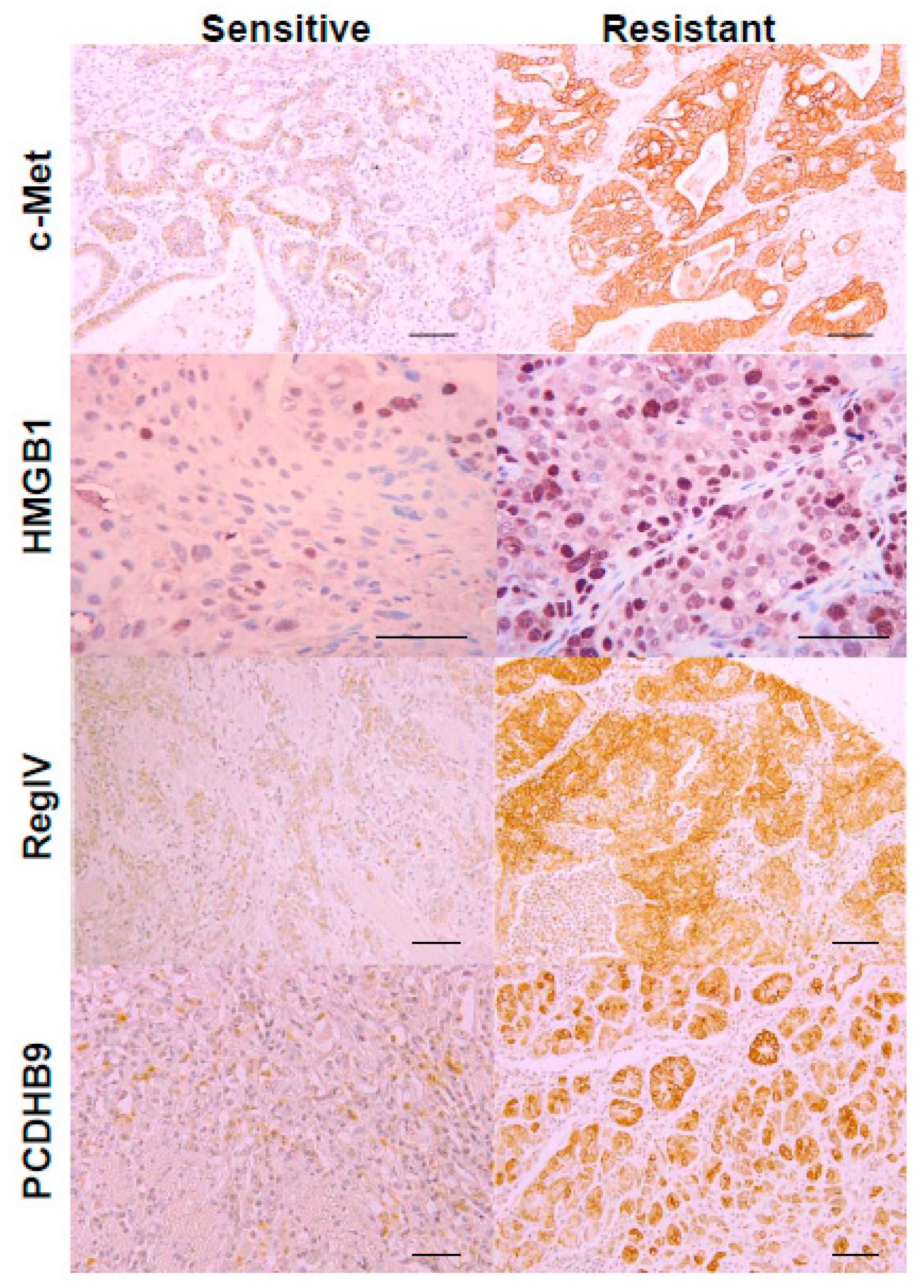 Ijms 21 00254 g002 Ijms 21 00254 g002