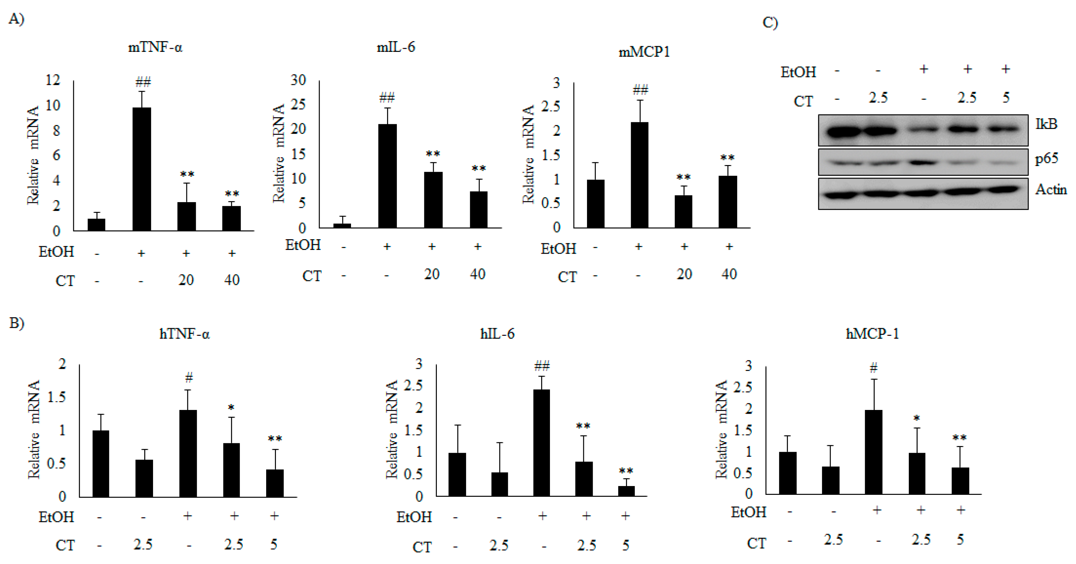 Ijms 21 00265 g008 Ijms 21 00265 g008