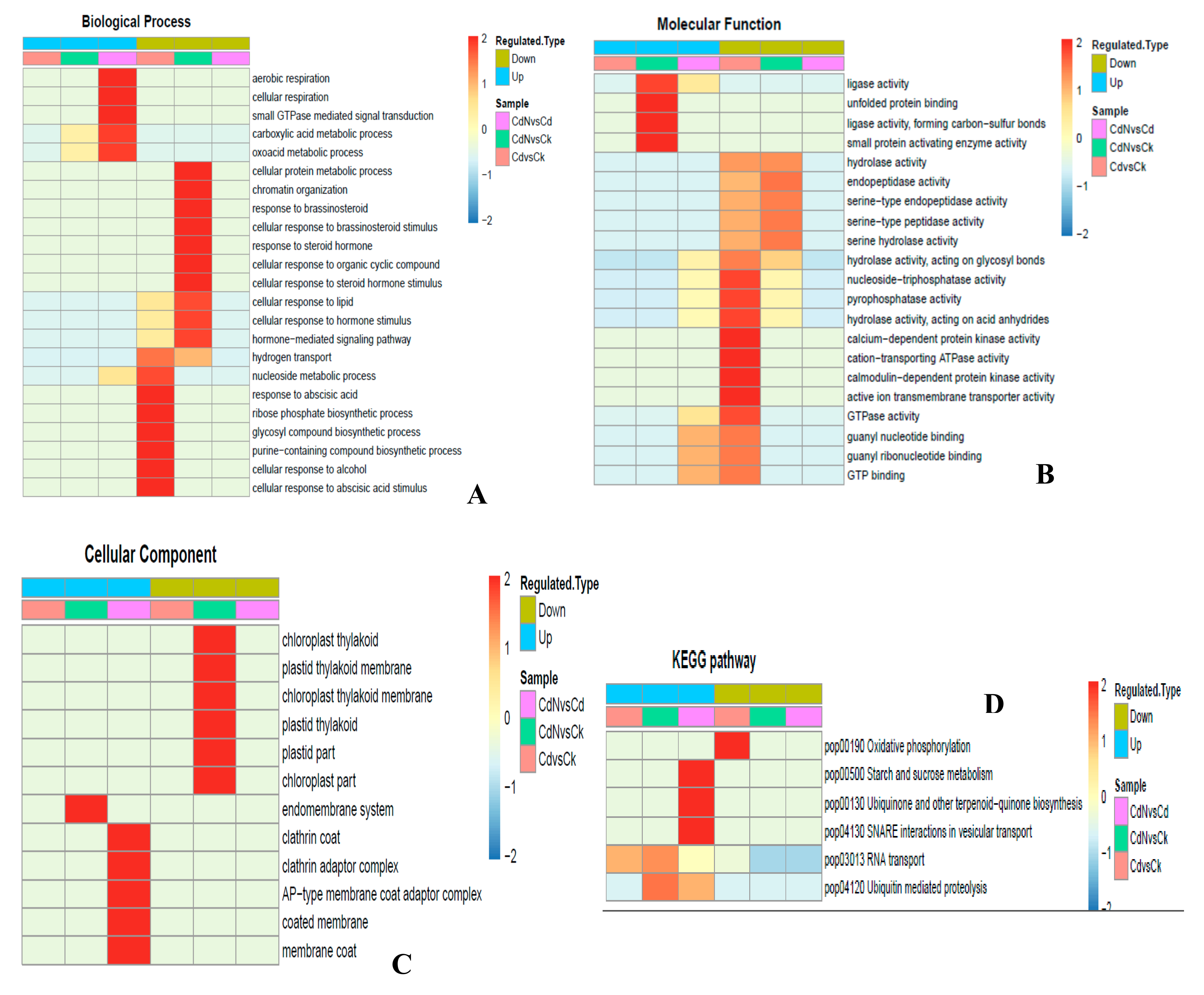 Ijms 21 00278 g004 Ijms 21 00278 g004