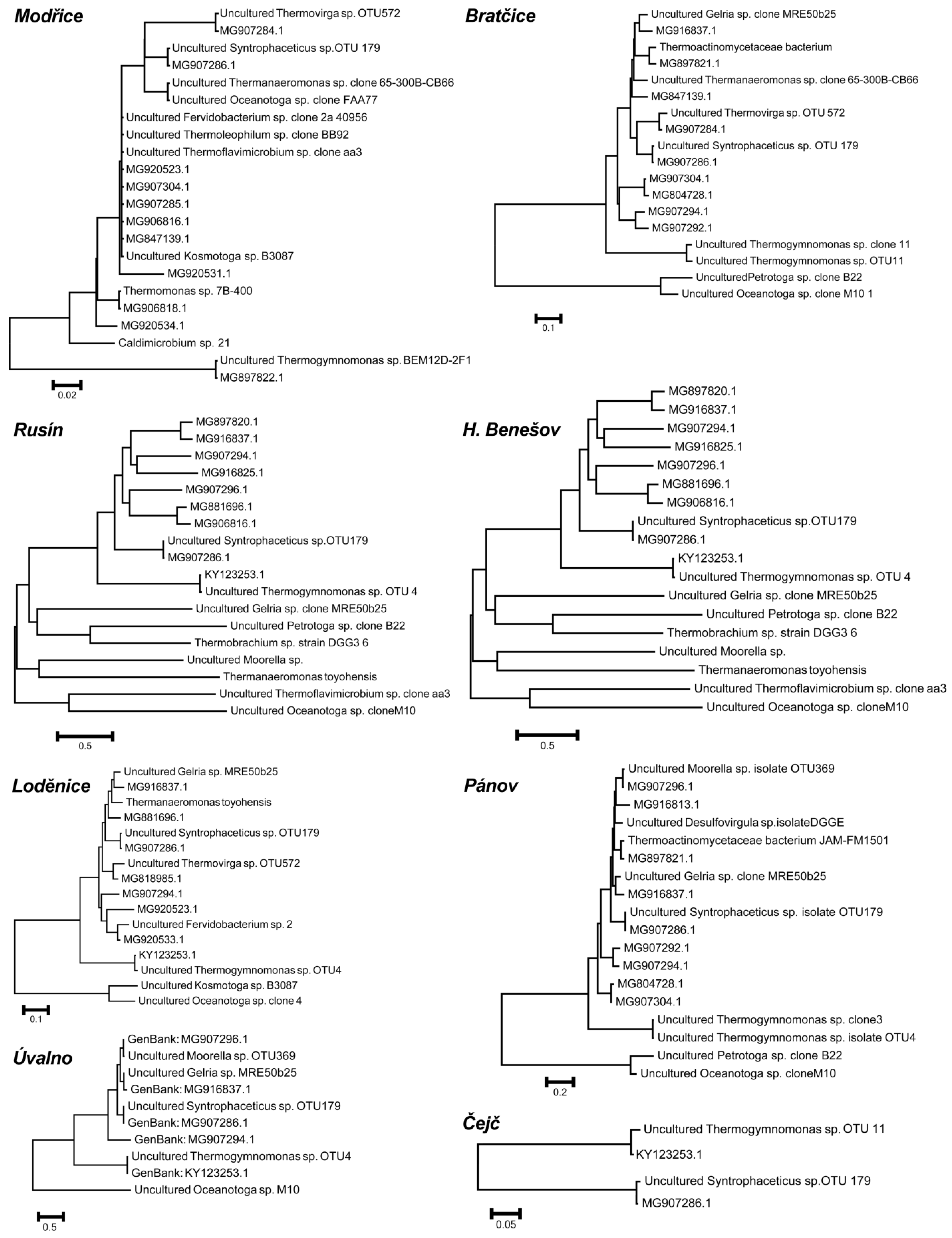 Ijms 21 00283 g006 Ijms 21 00283 g006