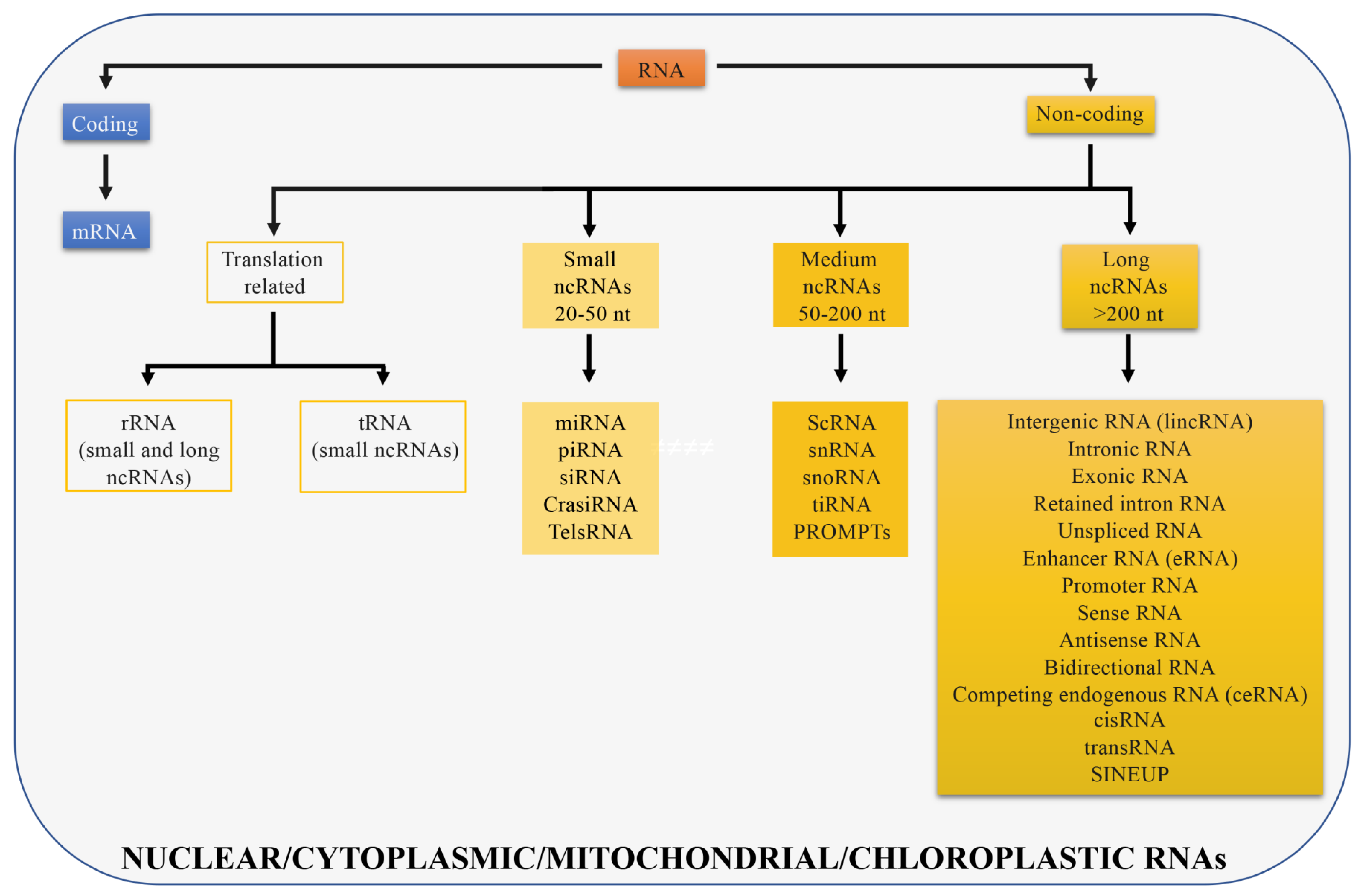 Ijms 21 00302 g001 Ijms 21 00302 g001