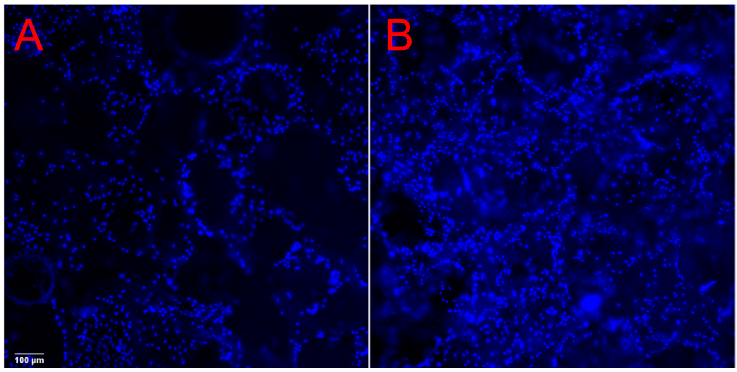 Ijms 21 00315 g005 Ijms 21 00315 g005