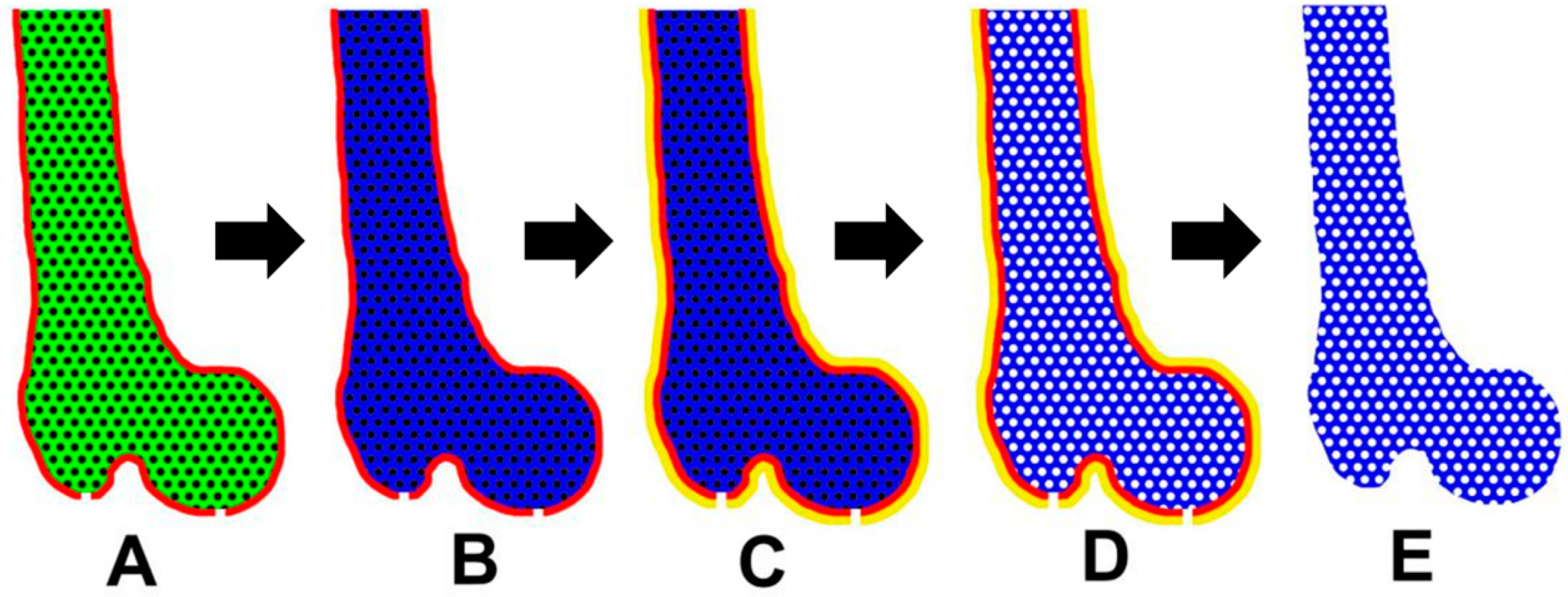 Ijms 21 00315 g011 Ijms 21 00315 g011