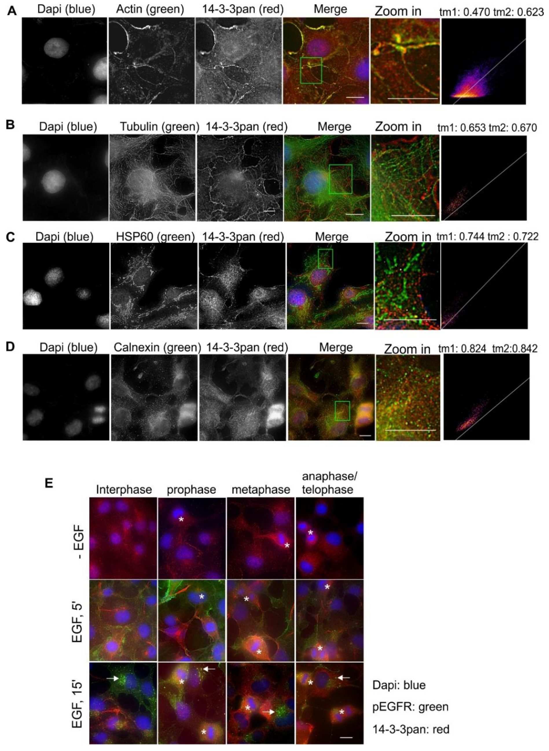 Ijms 21 00318 g003 Ijms 21 00318 g003