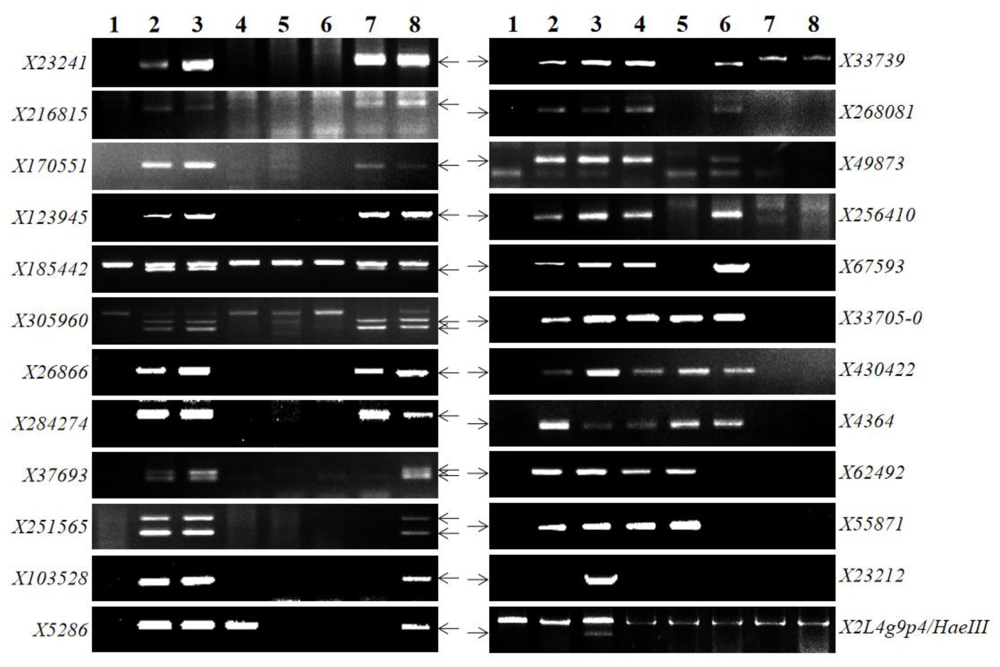 Ijms 21 00322 g004 Ijms 21 00322 g004