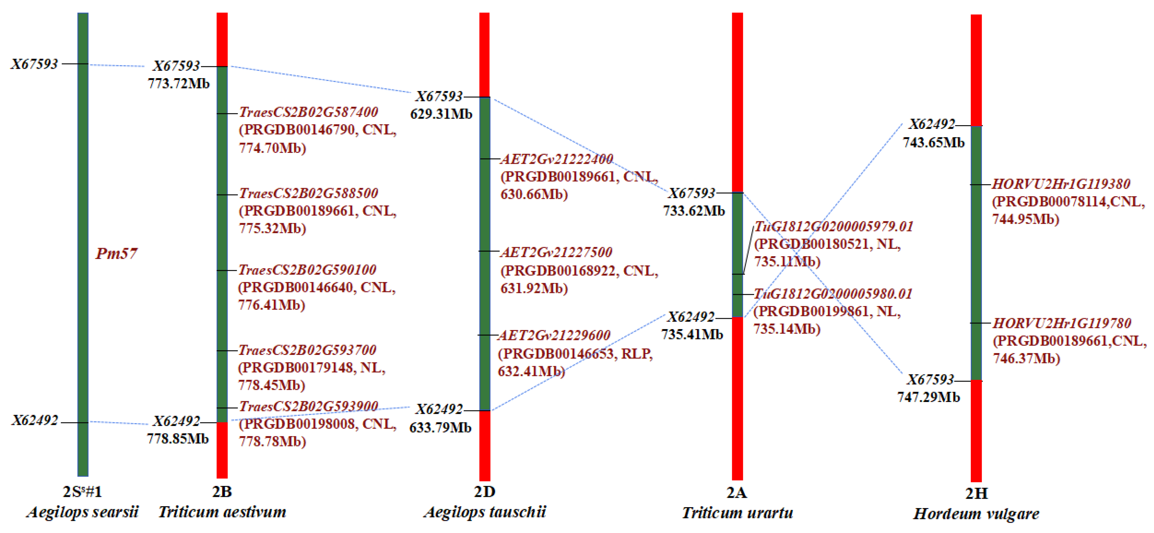 Ijms 21 00322 g006 Ijms 21 00322 g006
