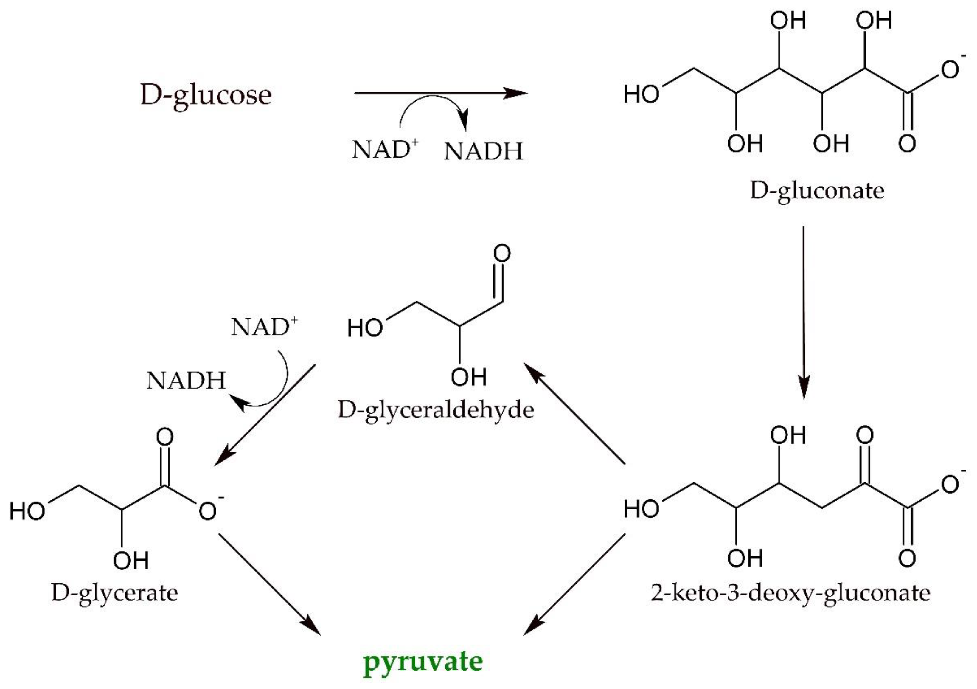 Ijms 21 00335 sch001