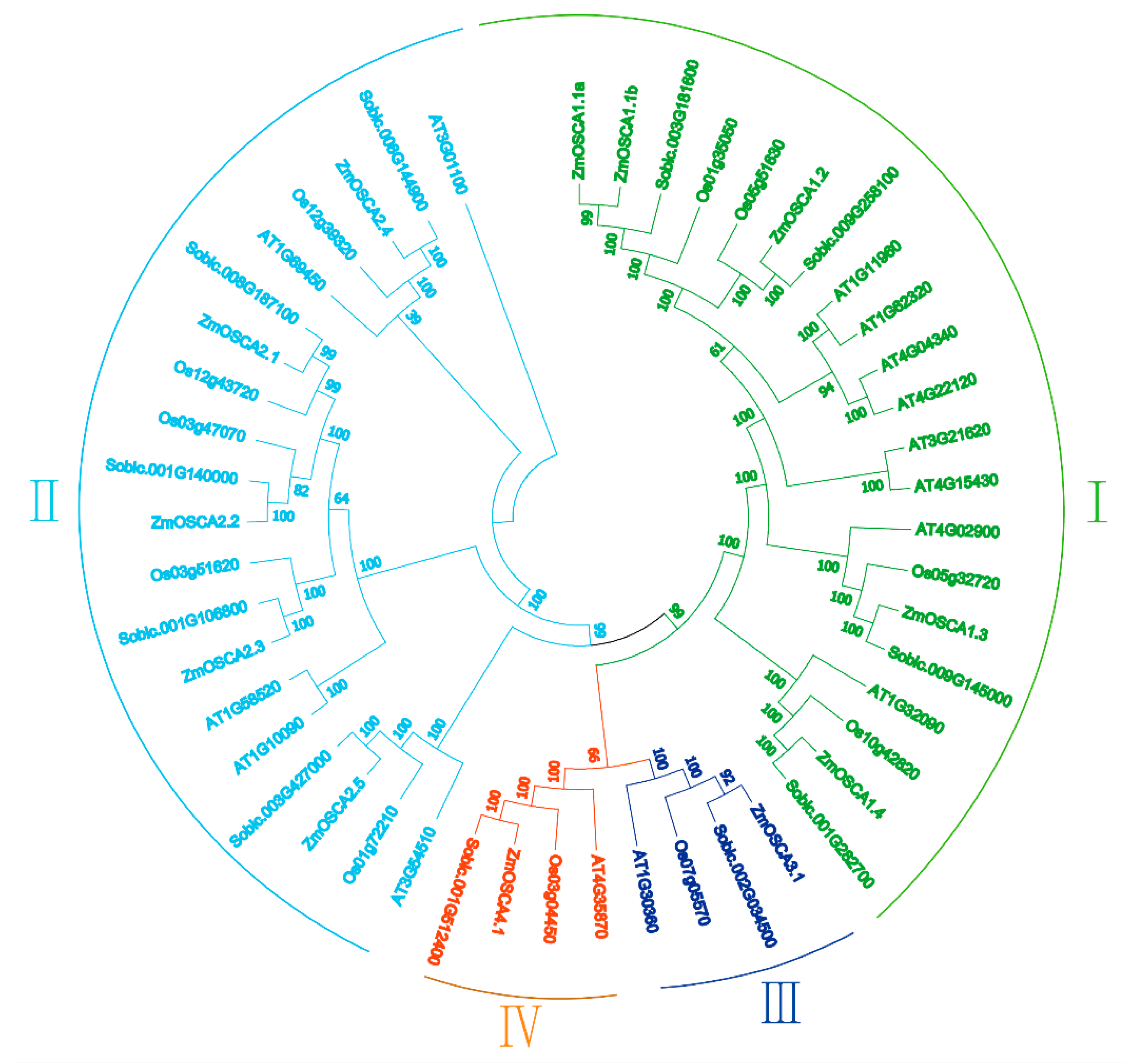 Ijms 21 00351 g002 Ijms 21 00351 g002