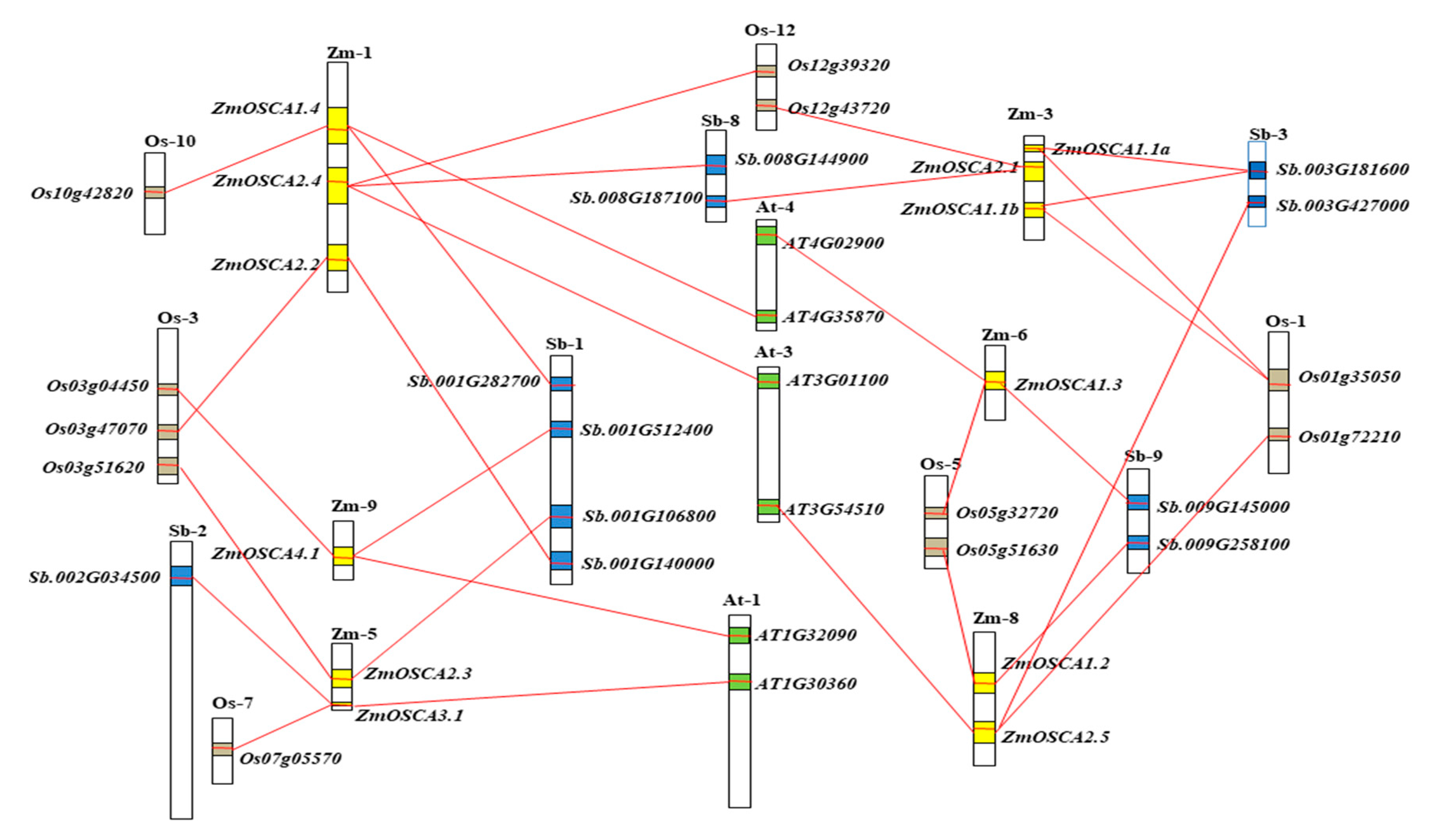 Ijms 21 00351 g004 Ijms 21 00351 g004