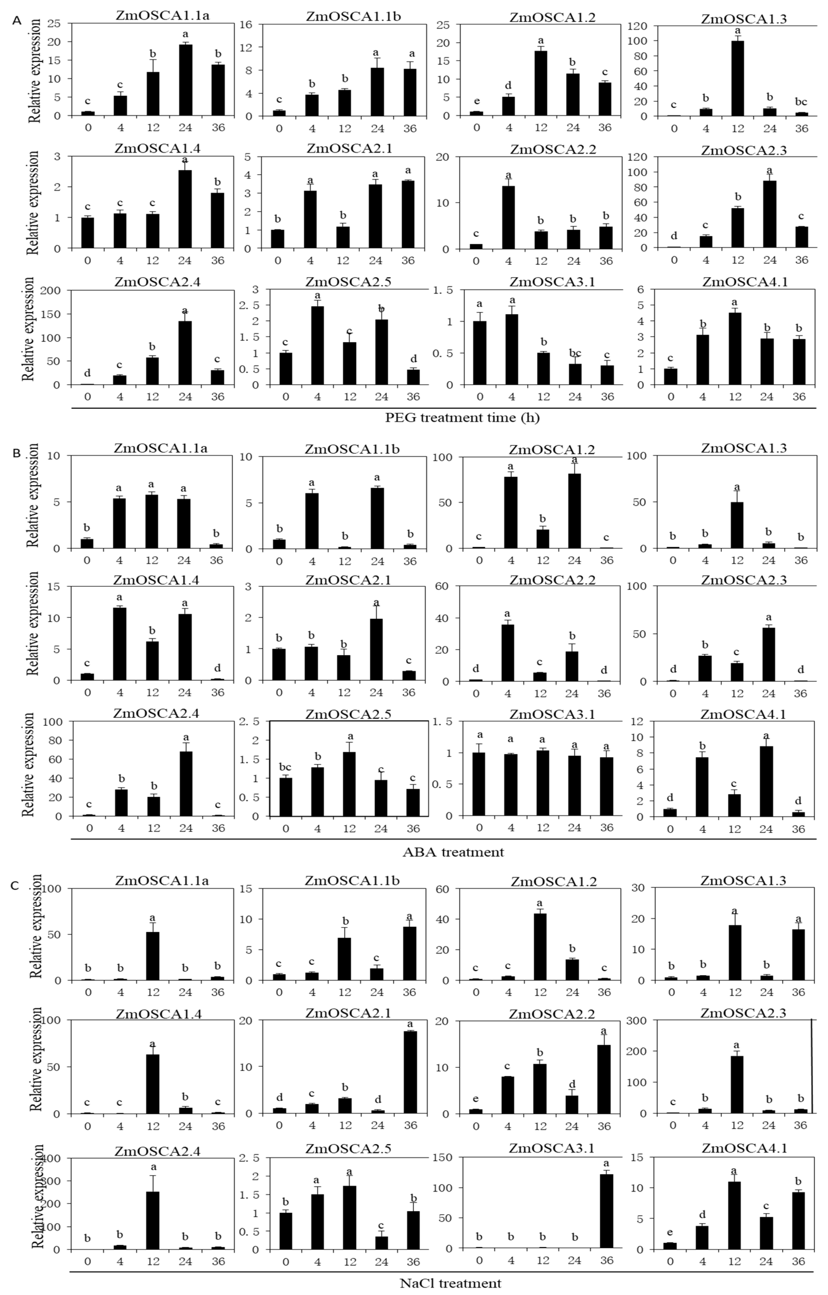 Ijms 21 00351 g005 Ijms 21 00351 g005