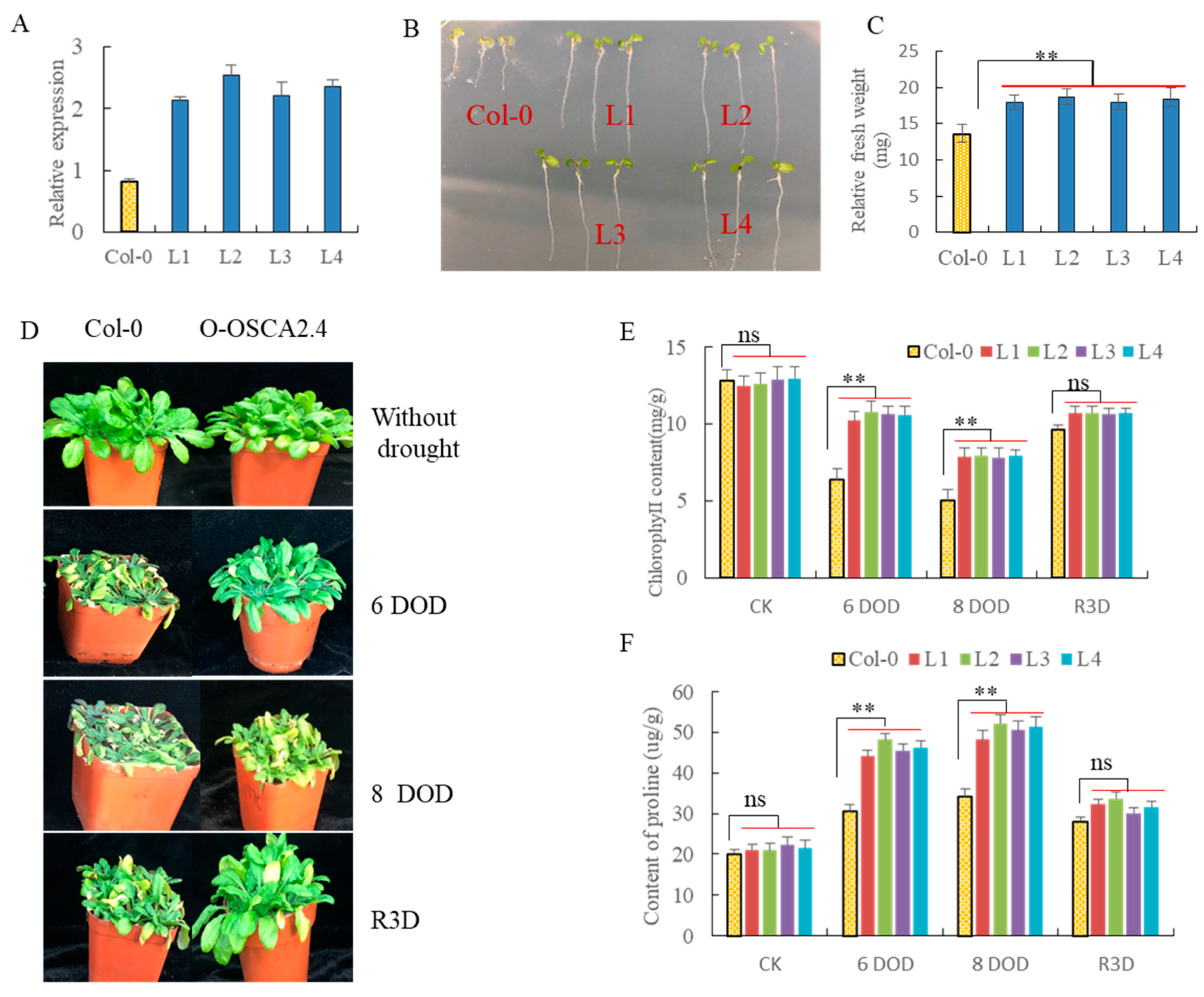 Ijms 21 00351 g008 Ijms 21 00351 g008