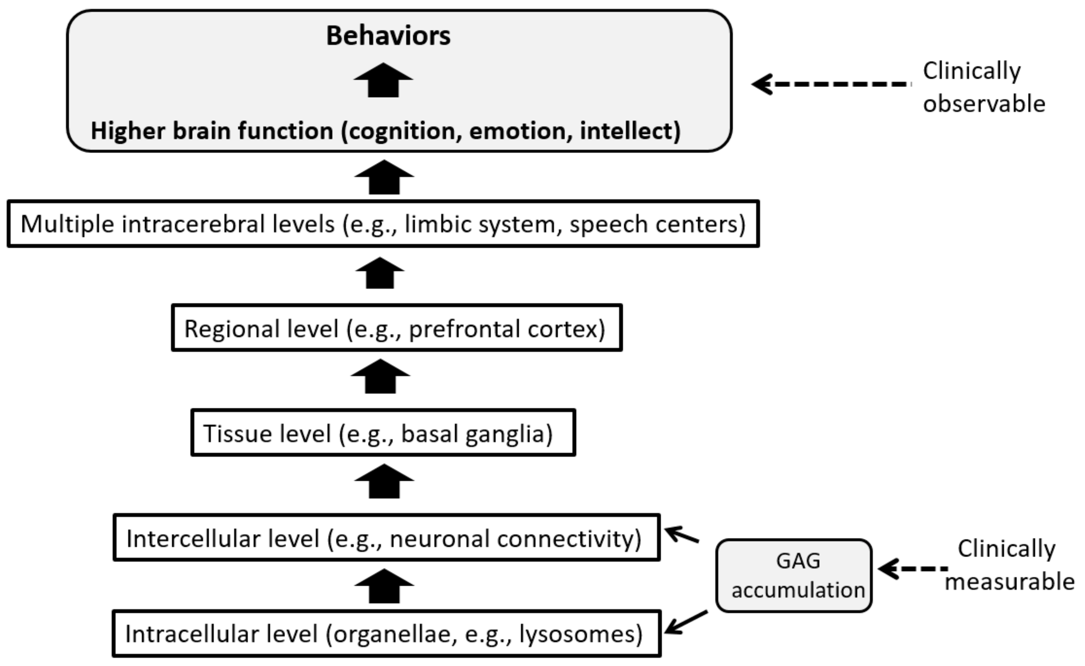 Ijms 21 00400 g003 Ijms 21 00400 g003
