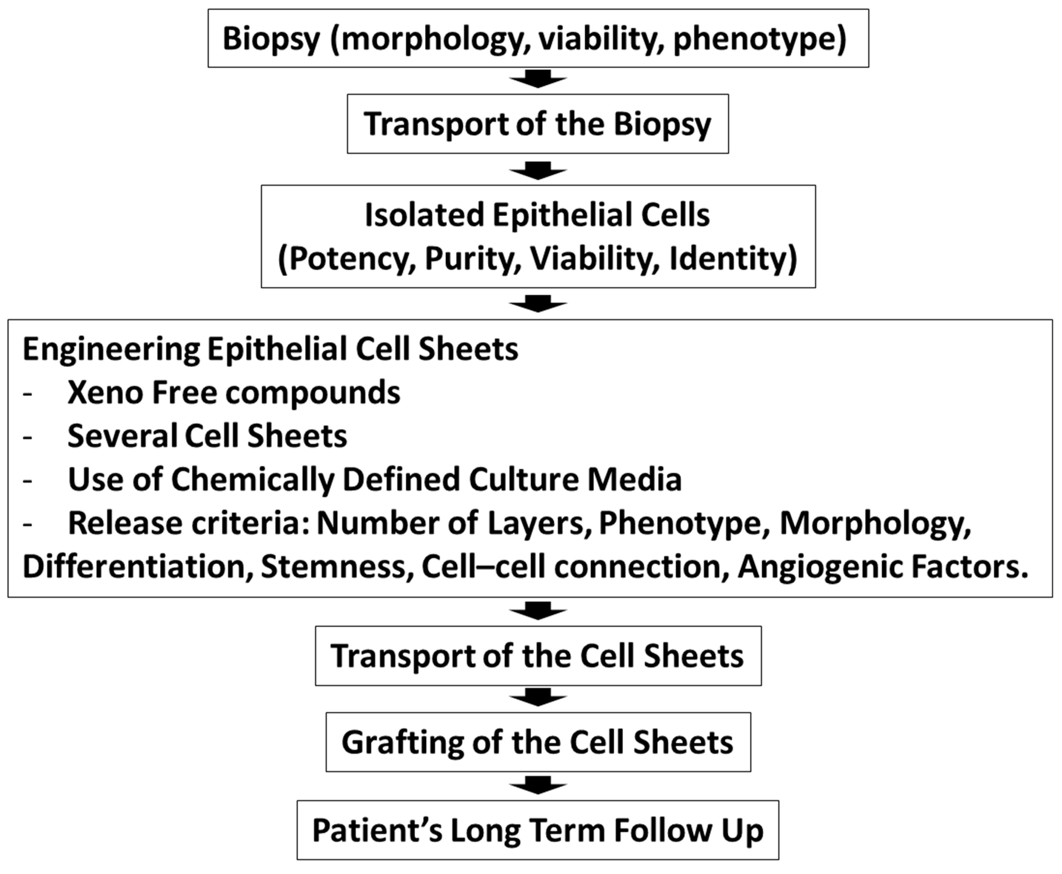 Ijms 21 00411 sch002