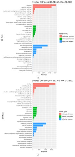 Ijms 21 00426 g0a2b Ijms 21 00426 g0a2b