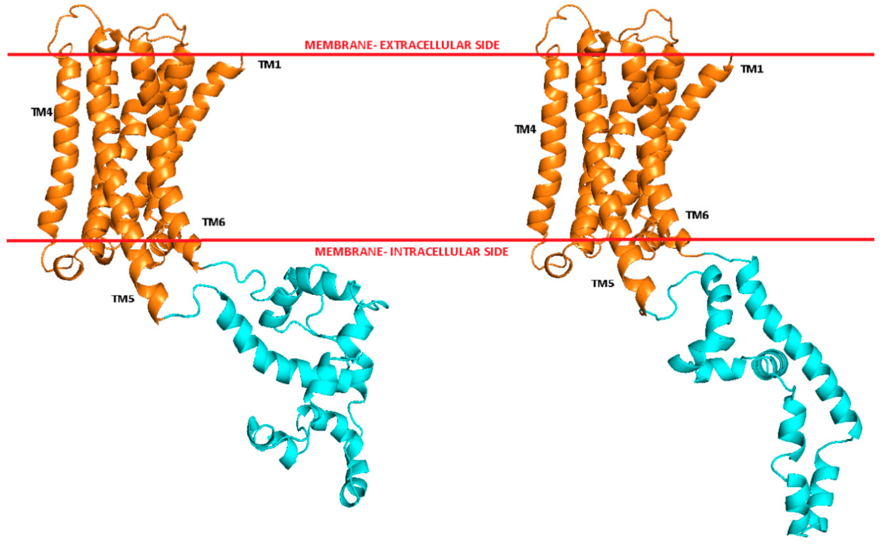 Ijms 21 00436 g001 Ijms 21 00436 g001