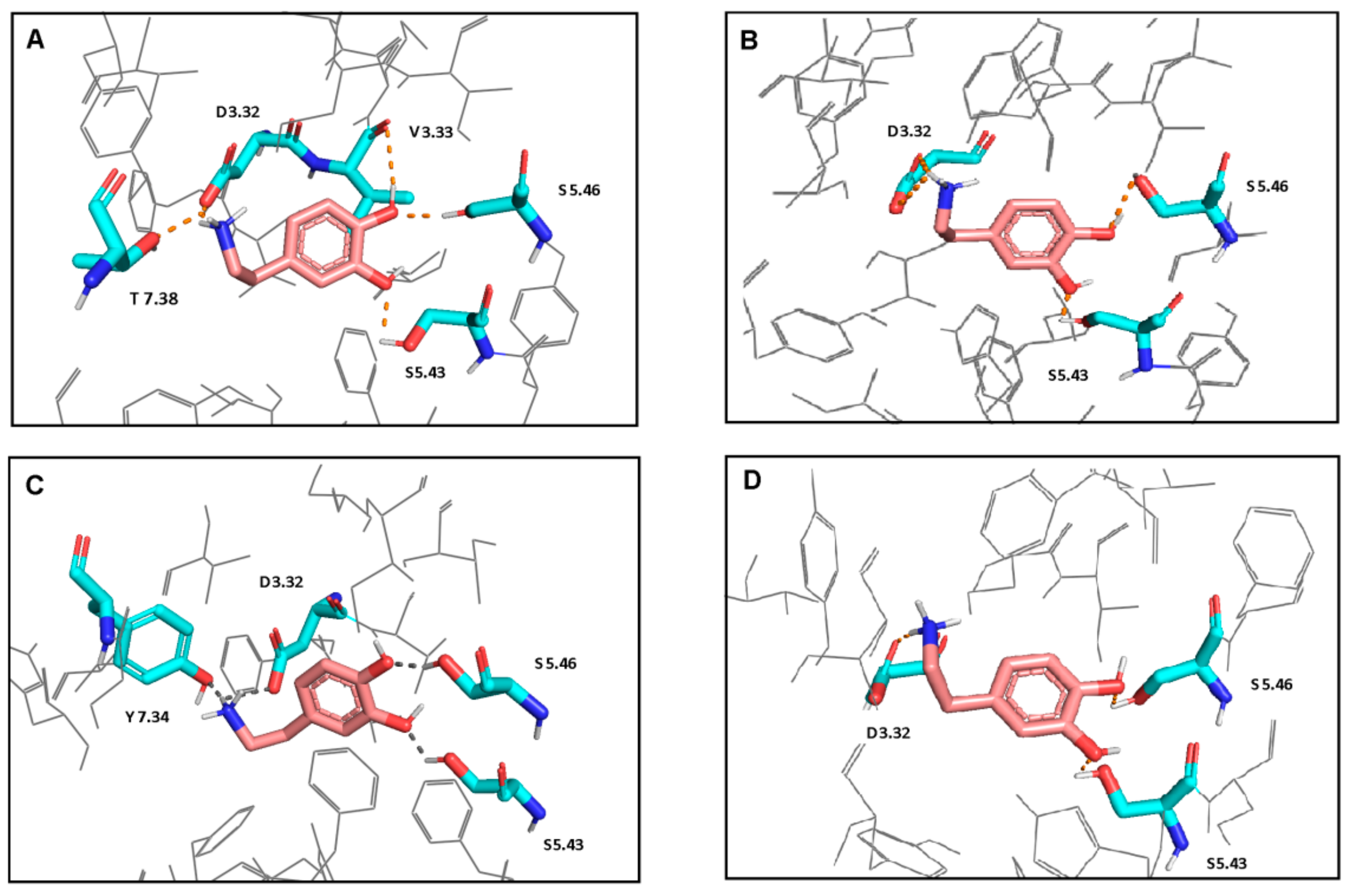 Ijms 21 00436 g002 Ijms 21 00436 g002