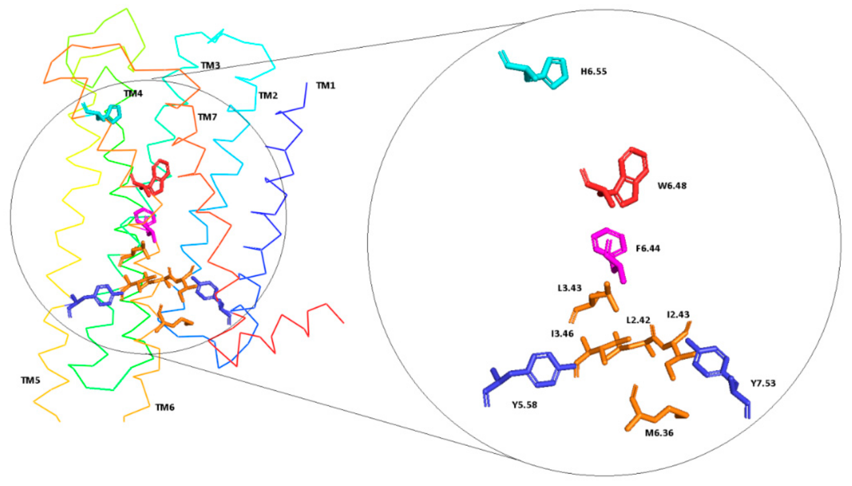 Ijms 21 00436 g007 Ijms 21 00436 g007