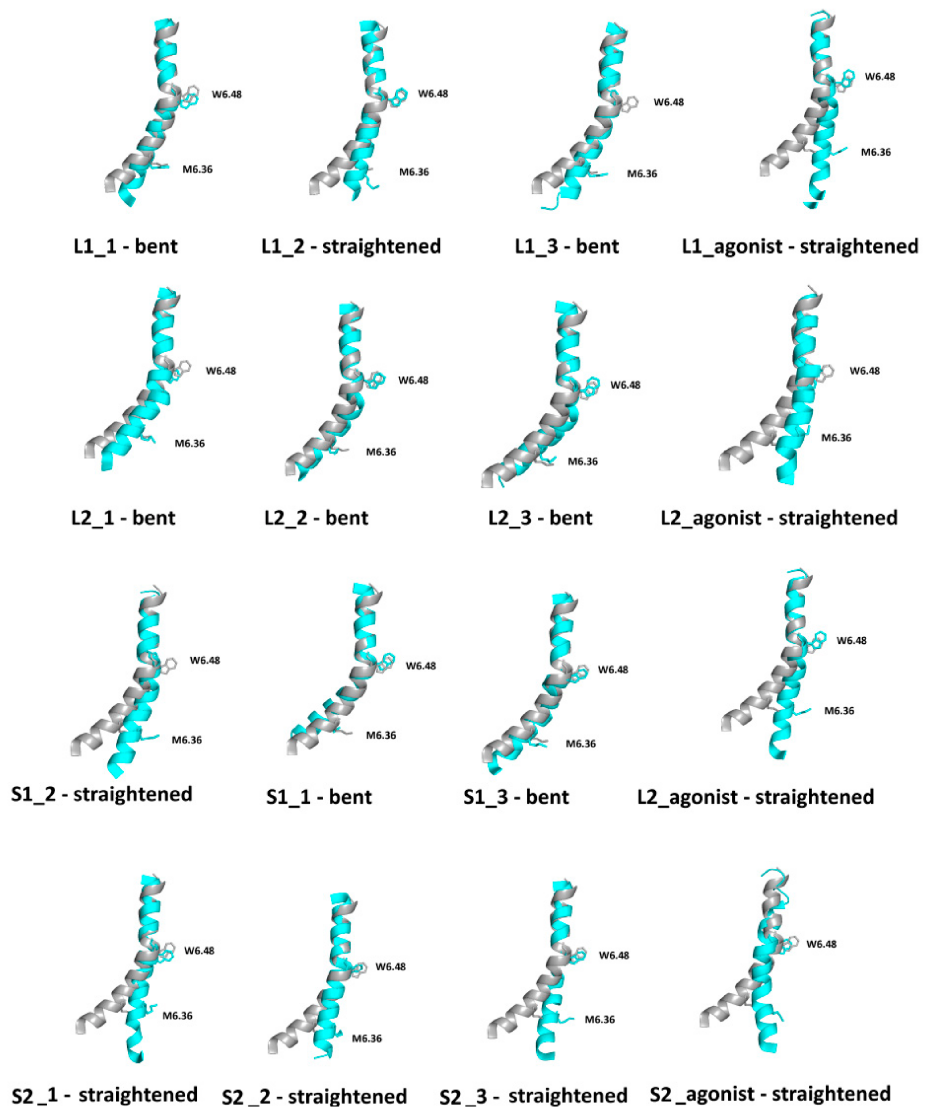 Ijms 21 00436 g012 Ijms 21 00436 g012