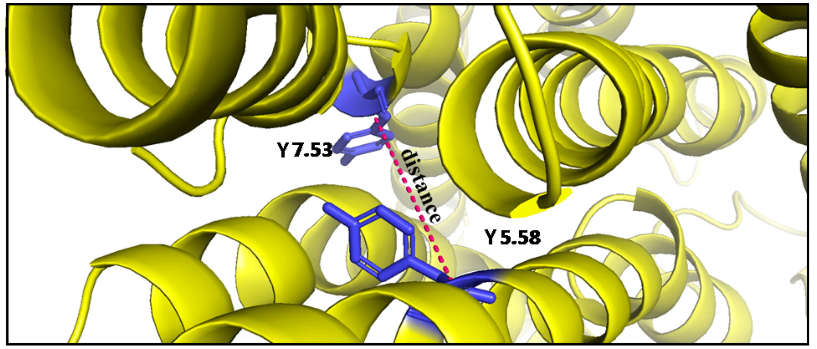 Ijms 21 00436 g013 Ijms 21 00436 g013