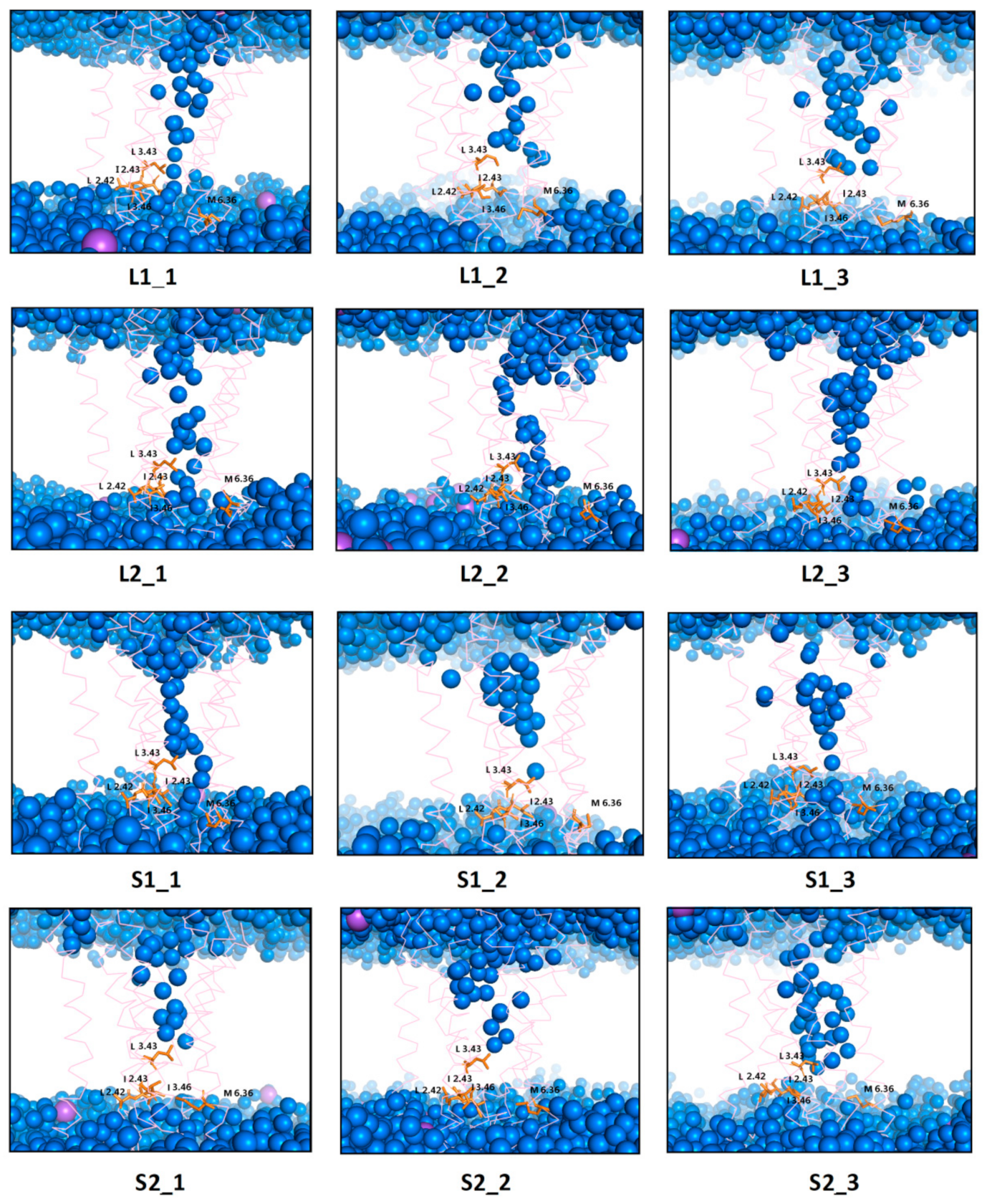 Ijms 21 00436 g014 Ijms 21 00436 g014