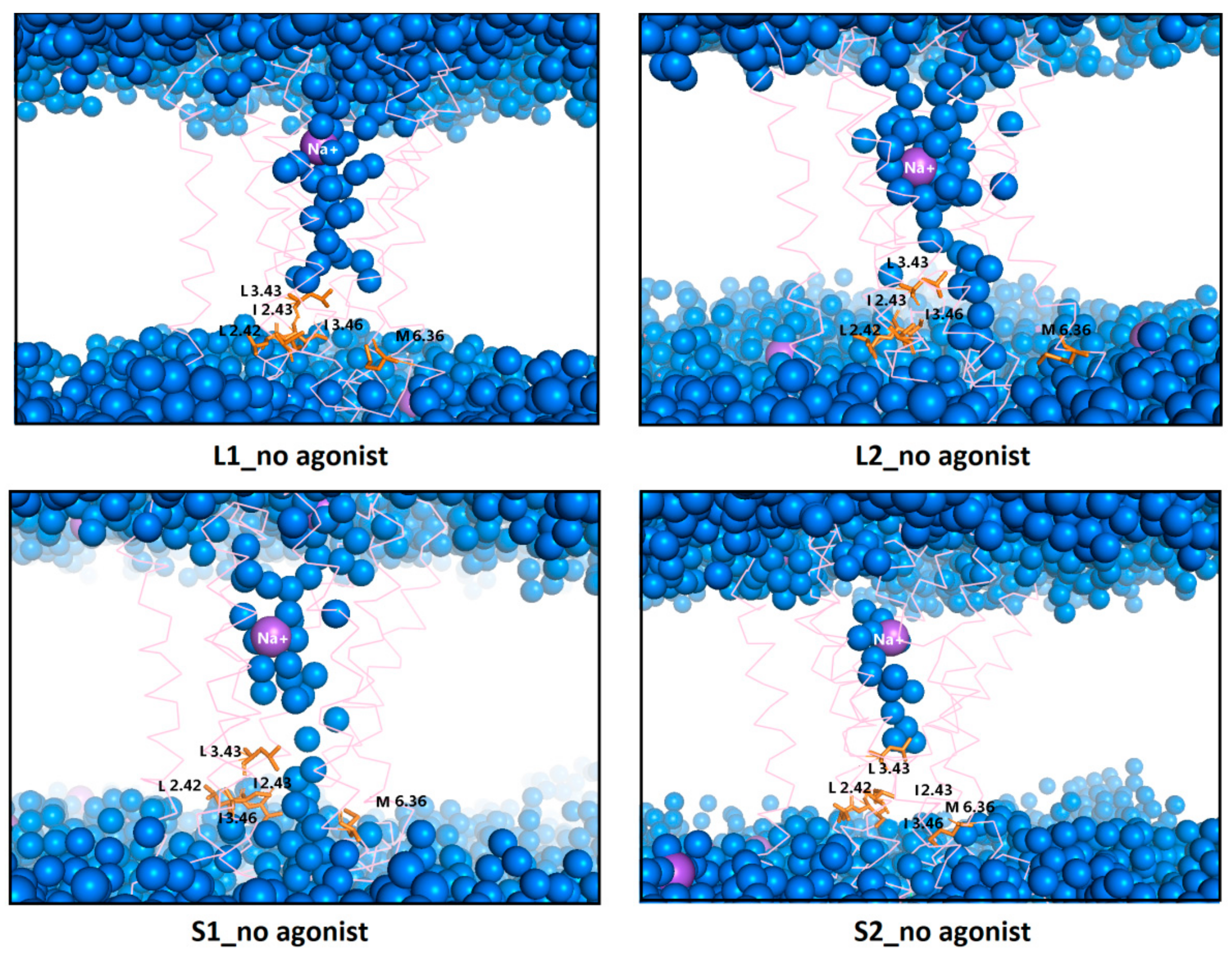 Ijms 21 00436 g015 Ijms 21 00436 g015