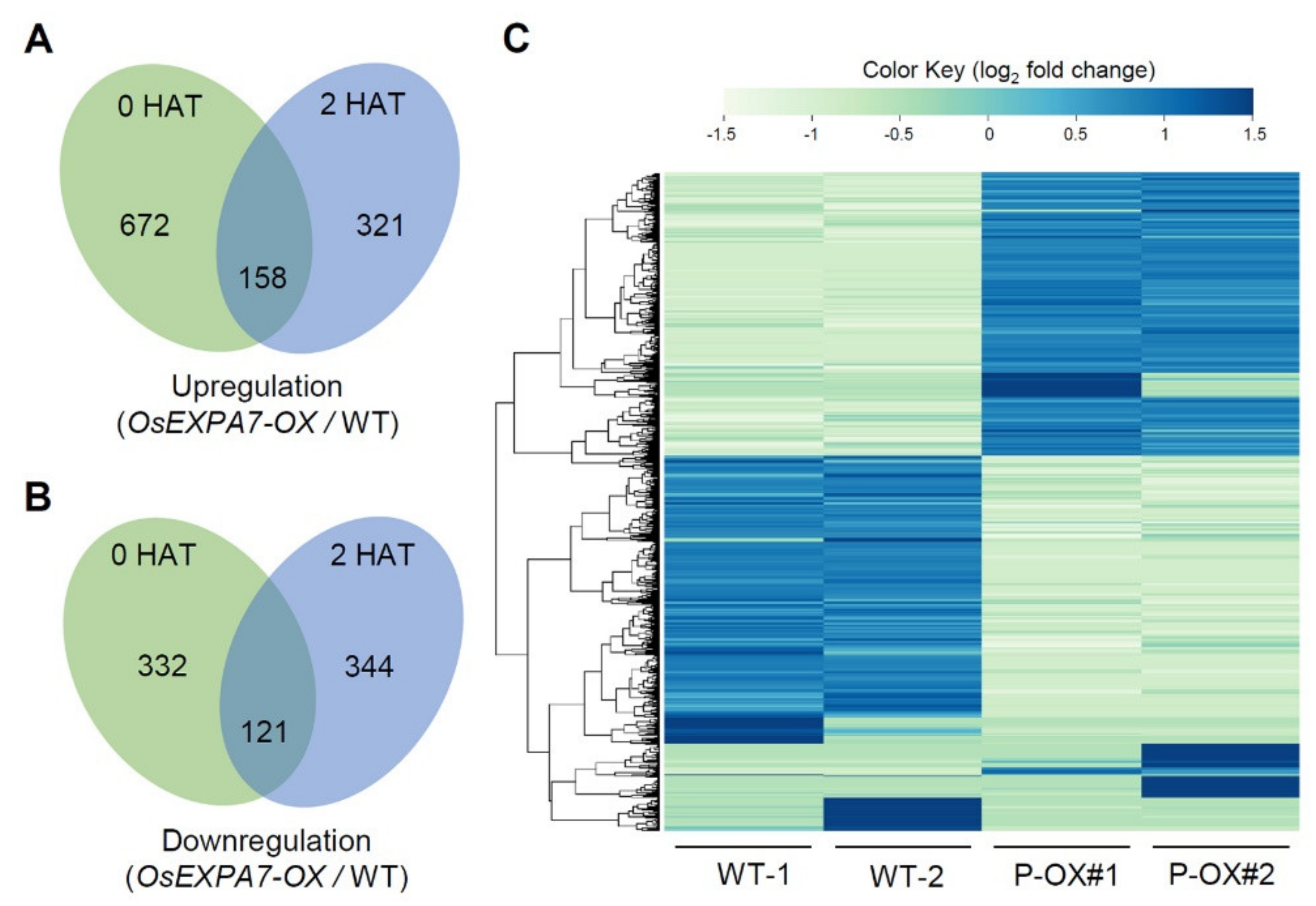 Ijms 21 00454 g008 Ijms 21 00454 g008
