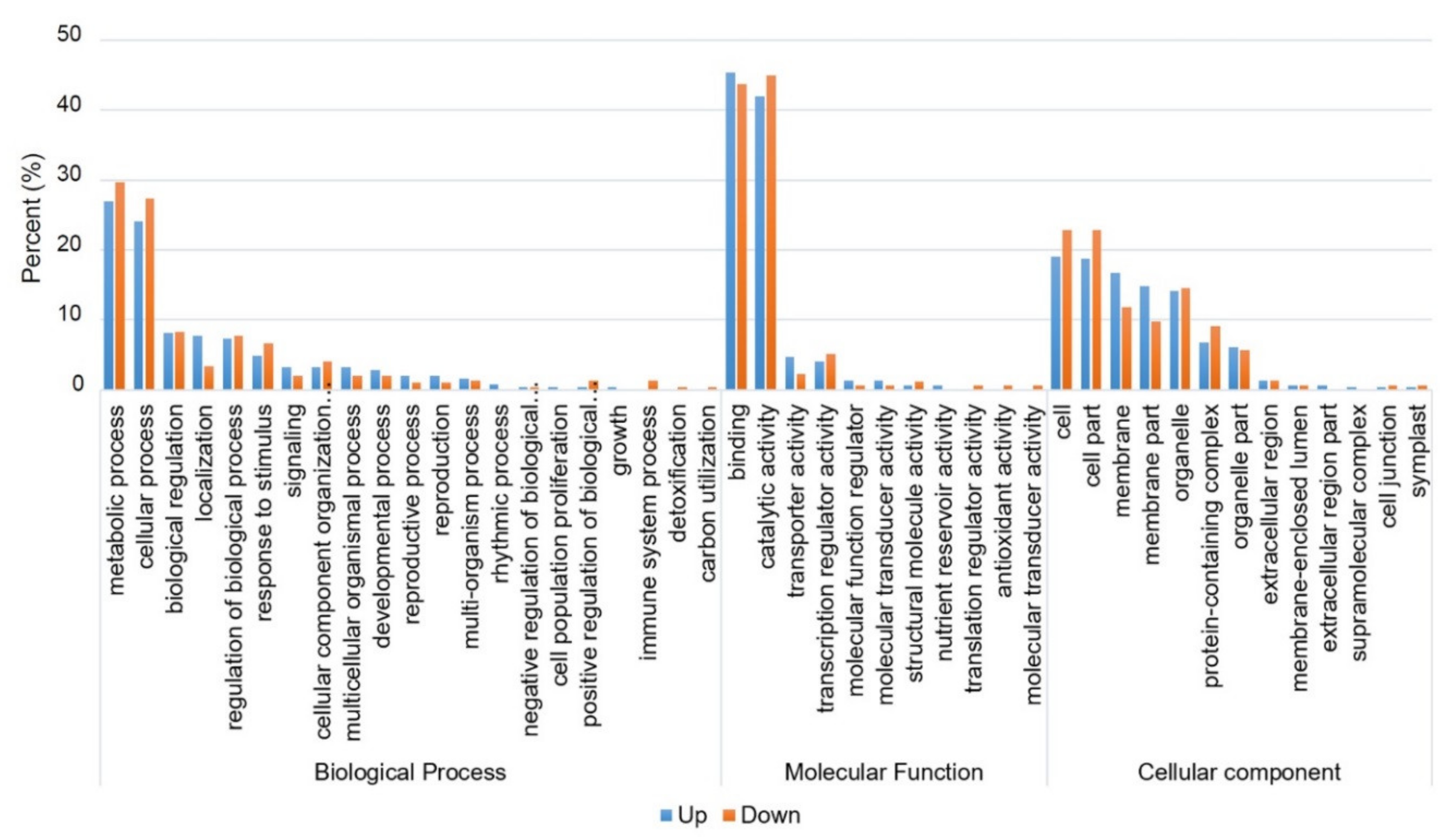 Ijms 21 00454 g009 Ijms 21 00454 g009