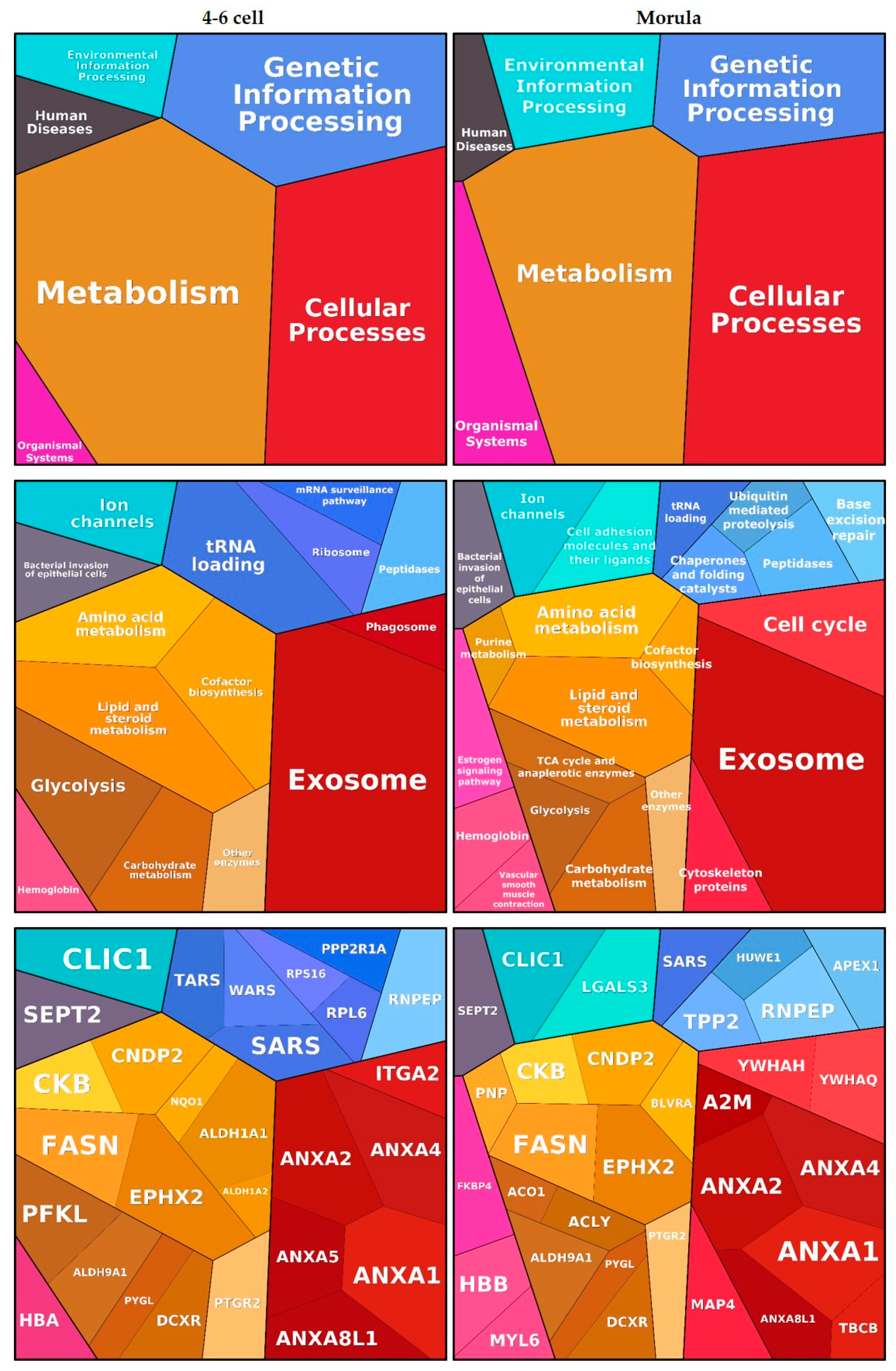 Ijms 21 00466 g003 Ijms 21 00466 g003