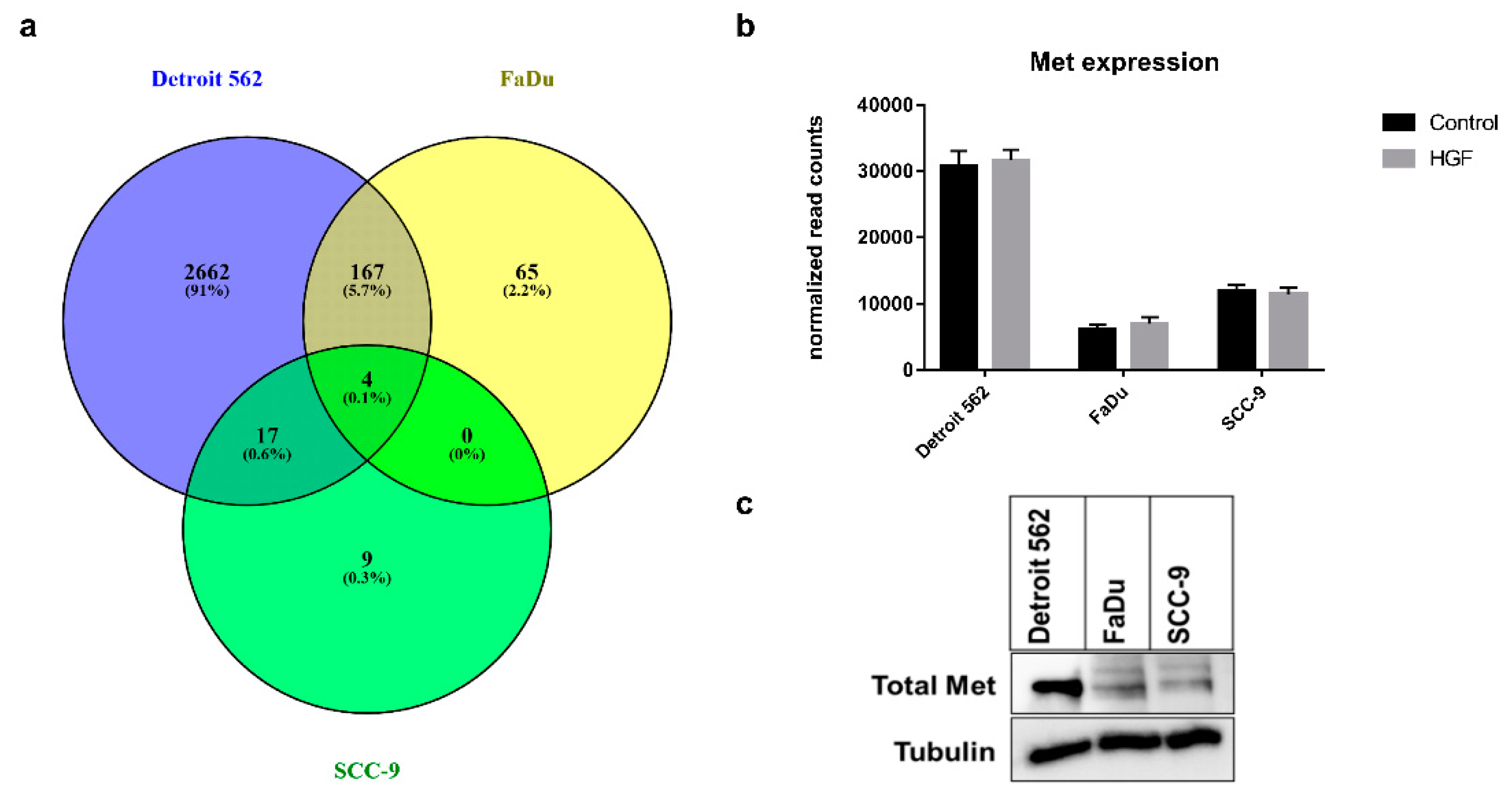 Ijms 21 00471 g004 Ijms 21 00471 g004