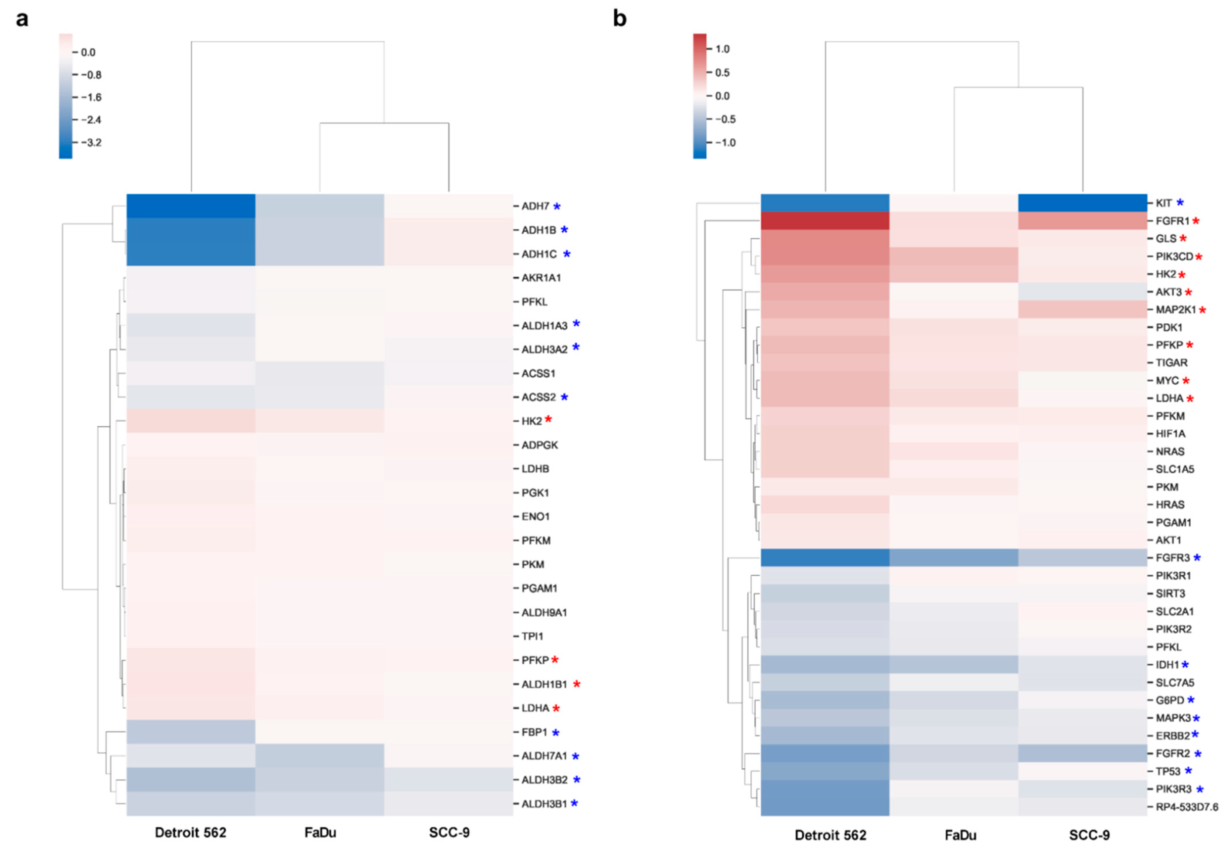 Ijms 21 00471 g005 Ijms 21 00471 g005