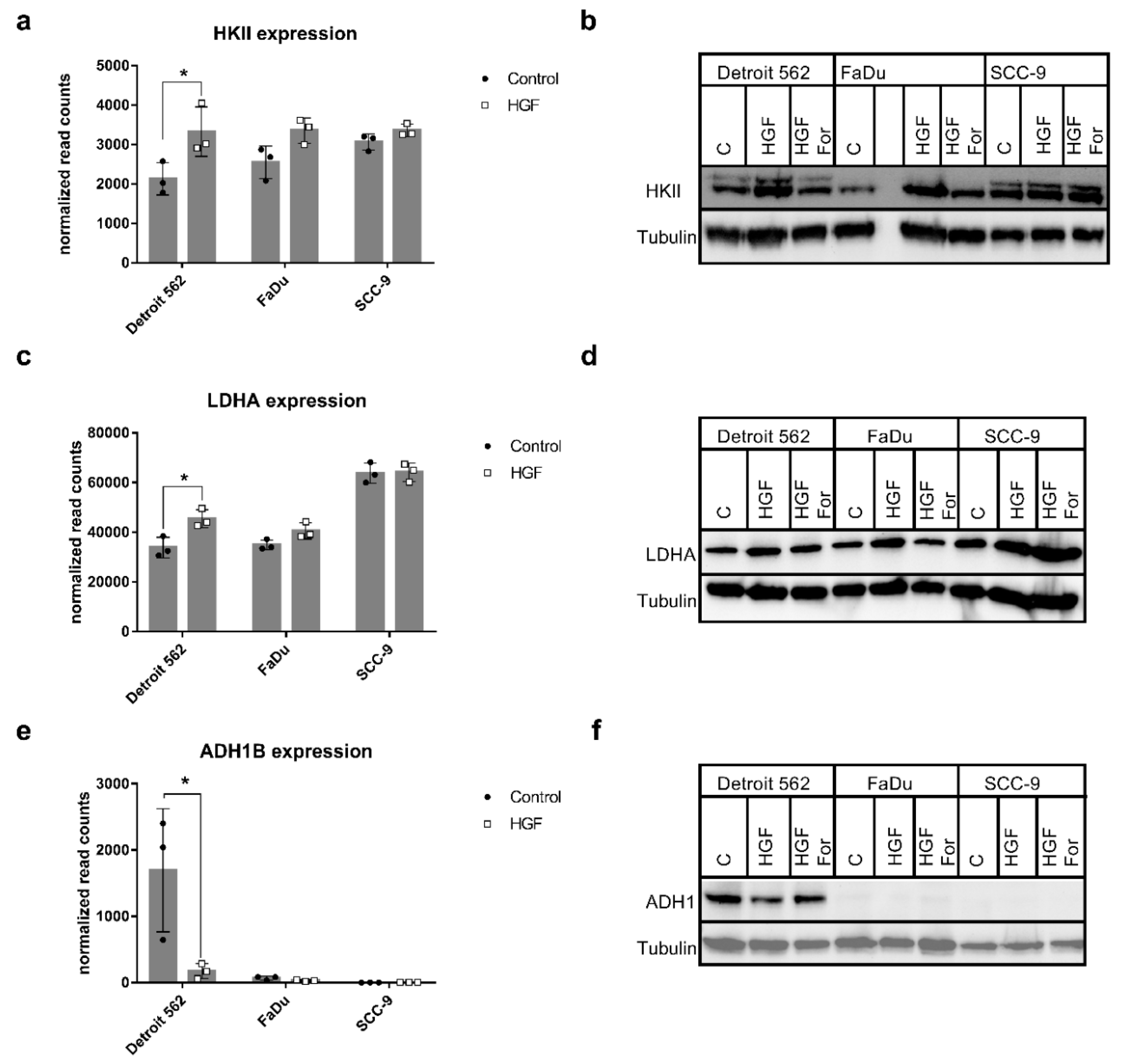 Ijms 21 00471 g006 Ijms 21 00471 g006