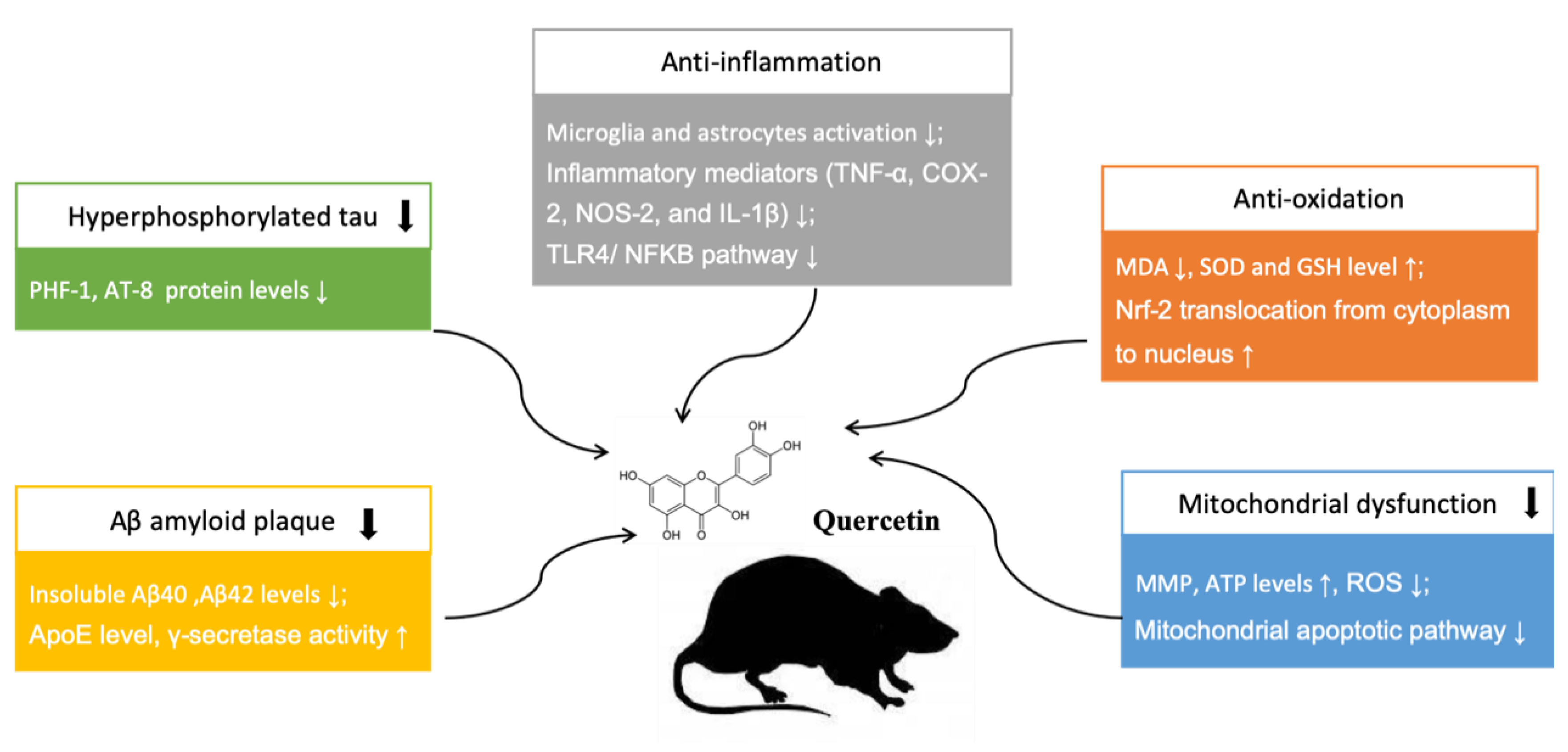 Ijms 21 00493 g005 Ijms 21 00493 g005