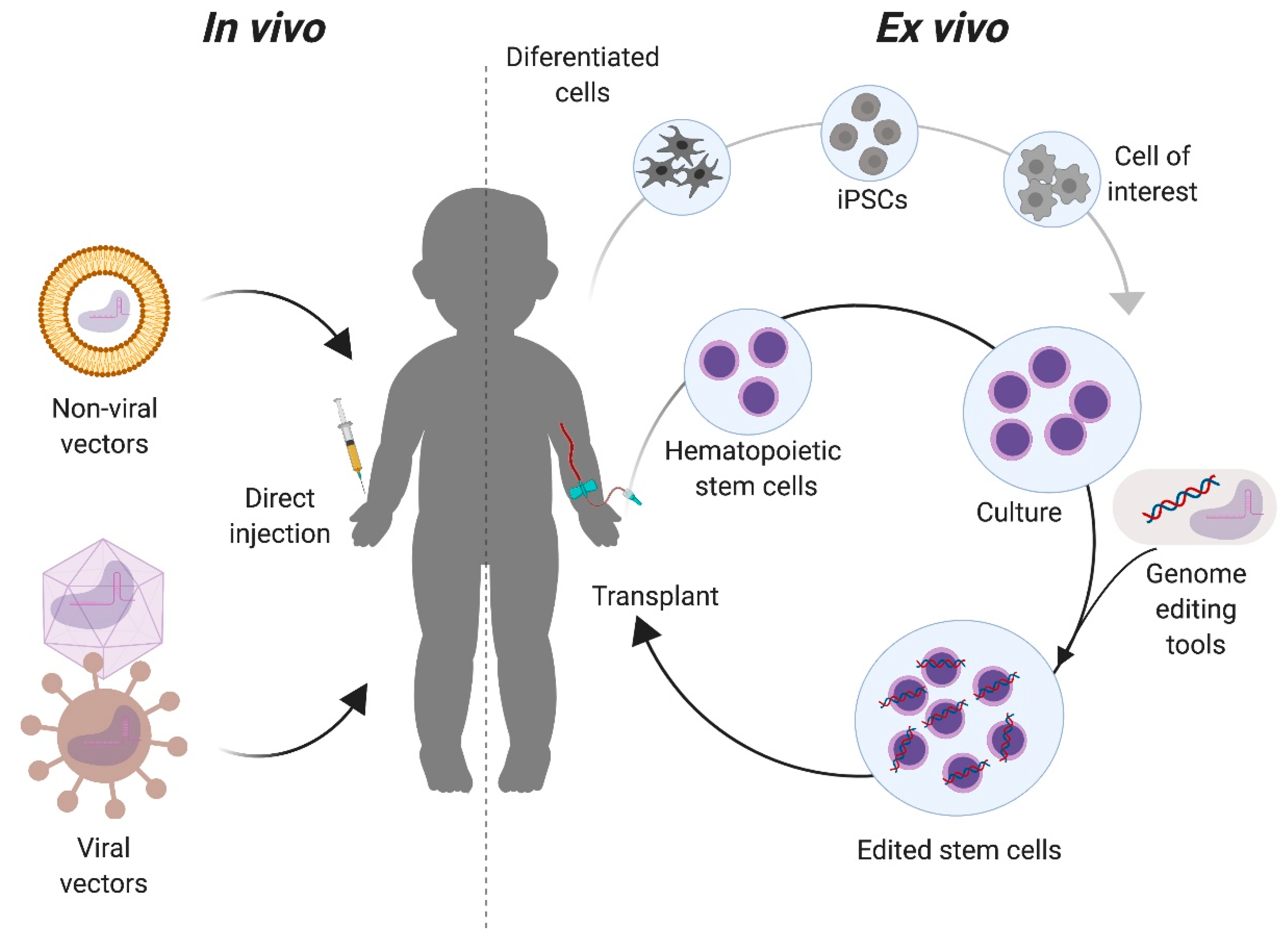 Ijms 21 00500 g003 Ijms 21 00500 g003