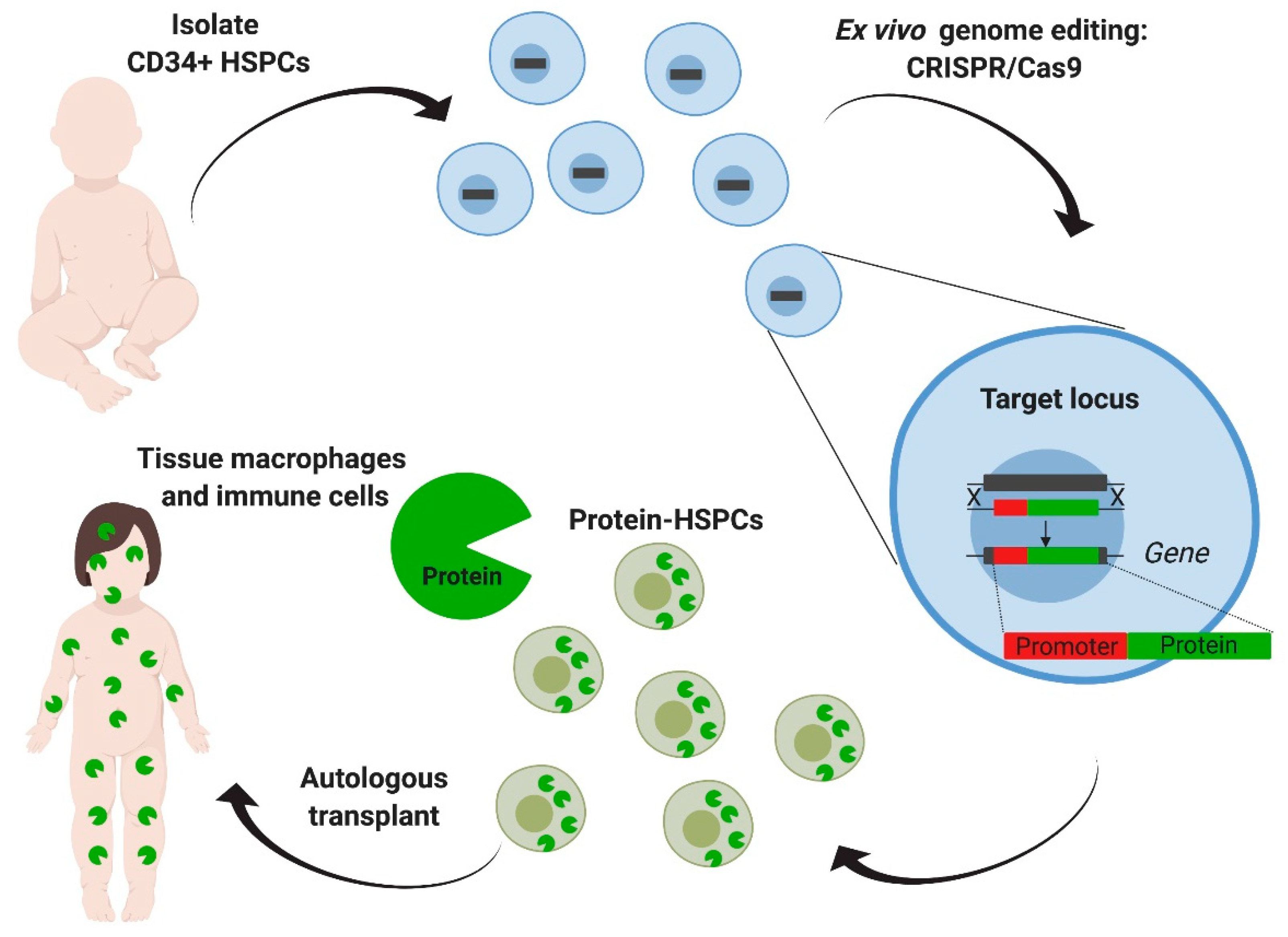 Ijms 21 00500 g004 Ijms 21 00500 g004