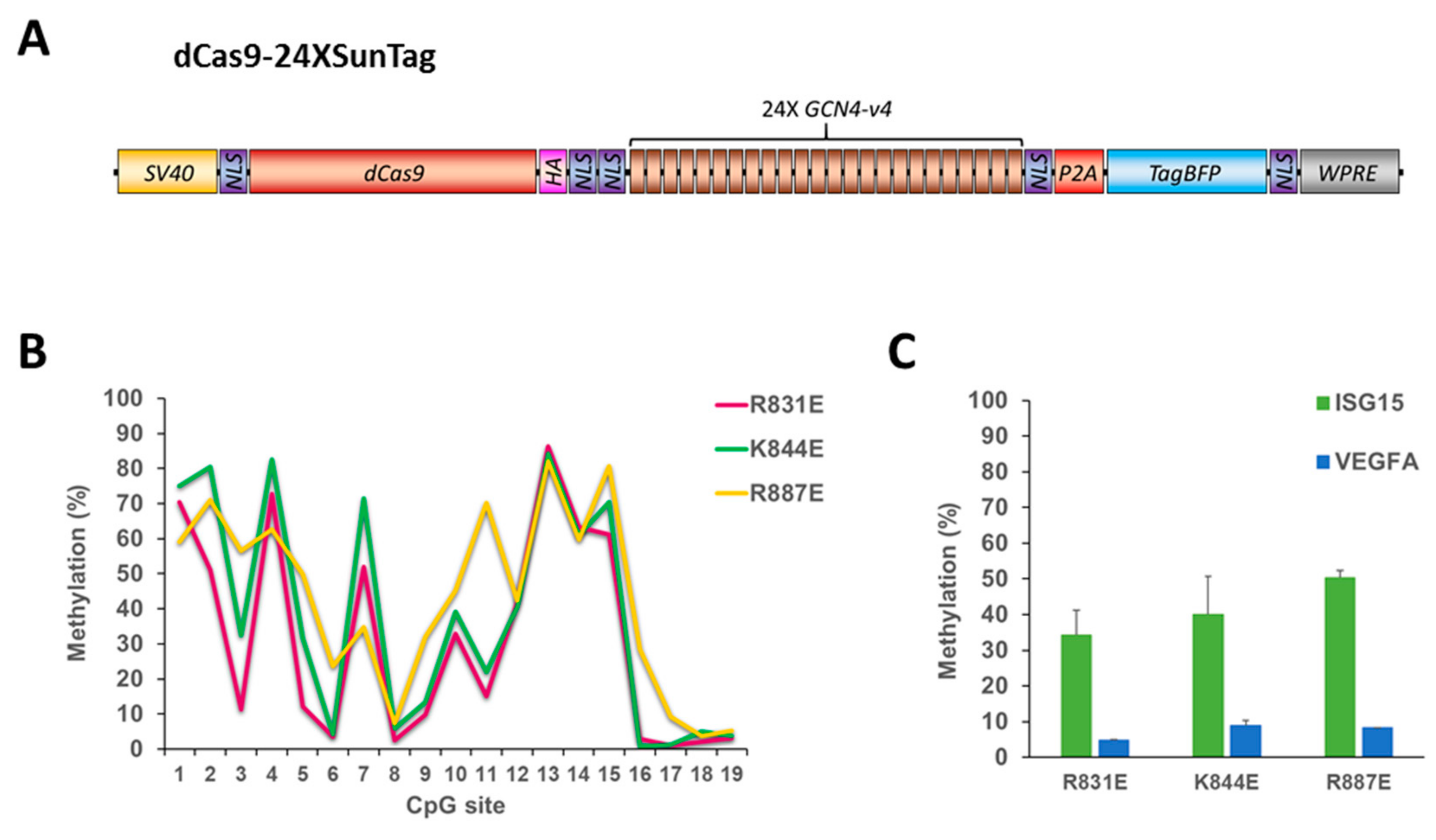 Ijms 21 00502 g005 Ijms 21 00502 g005